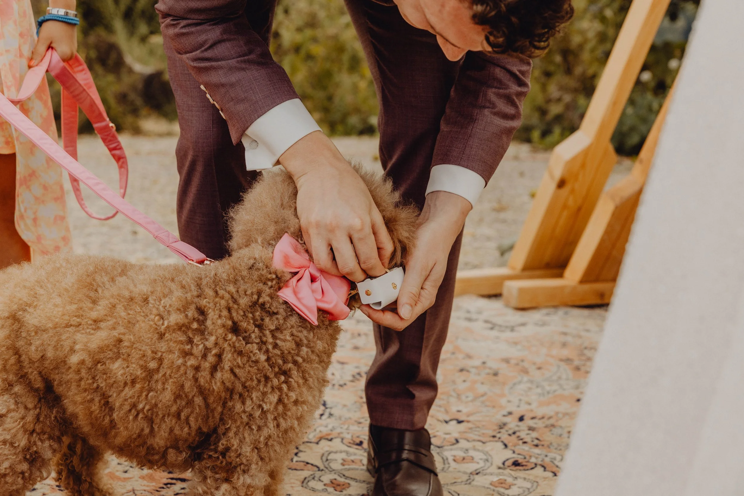 Hochzeit Laussa Oberösterreich Heiraten Fotograf die kleine fotografin Auszeithof Erdelement Boho Alternativ Natur