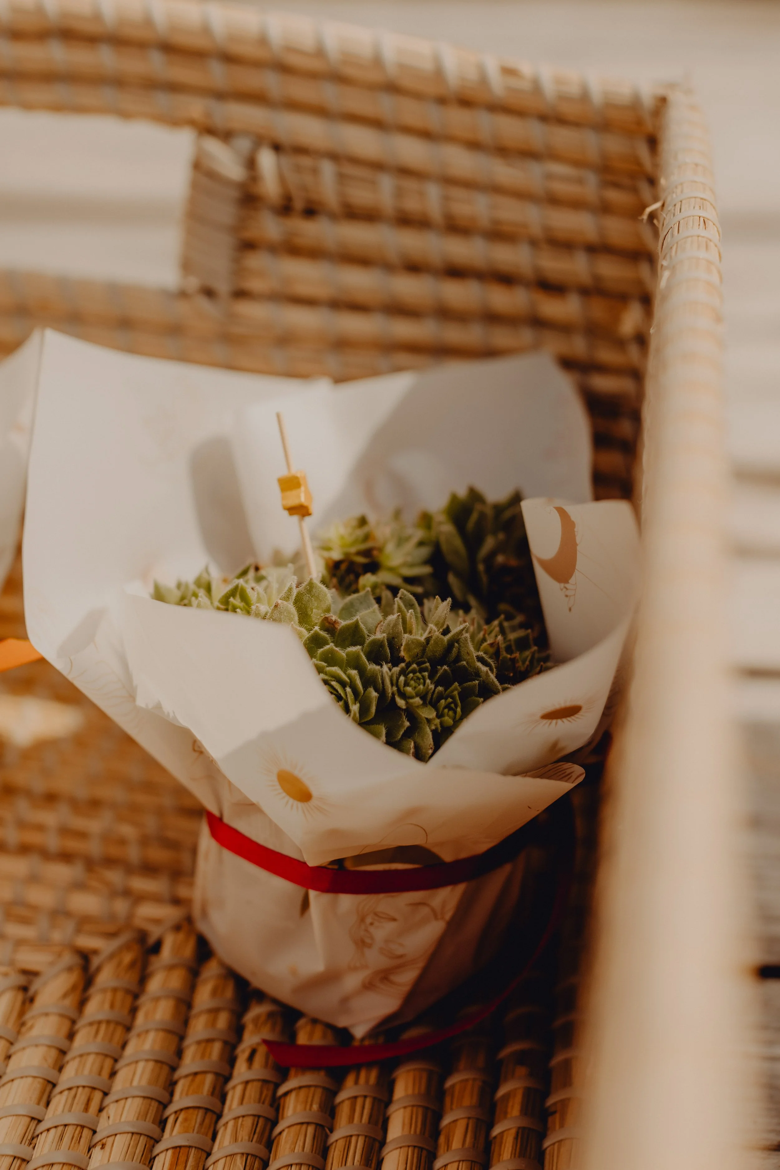 Hochzeit Laussa Oberösterreich Heiraten Fotograf die kleine fotografin Auszeithof Erdelement Boho Alternativ Natur