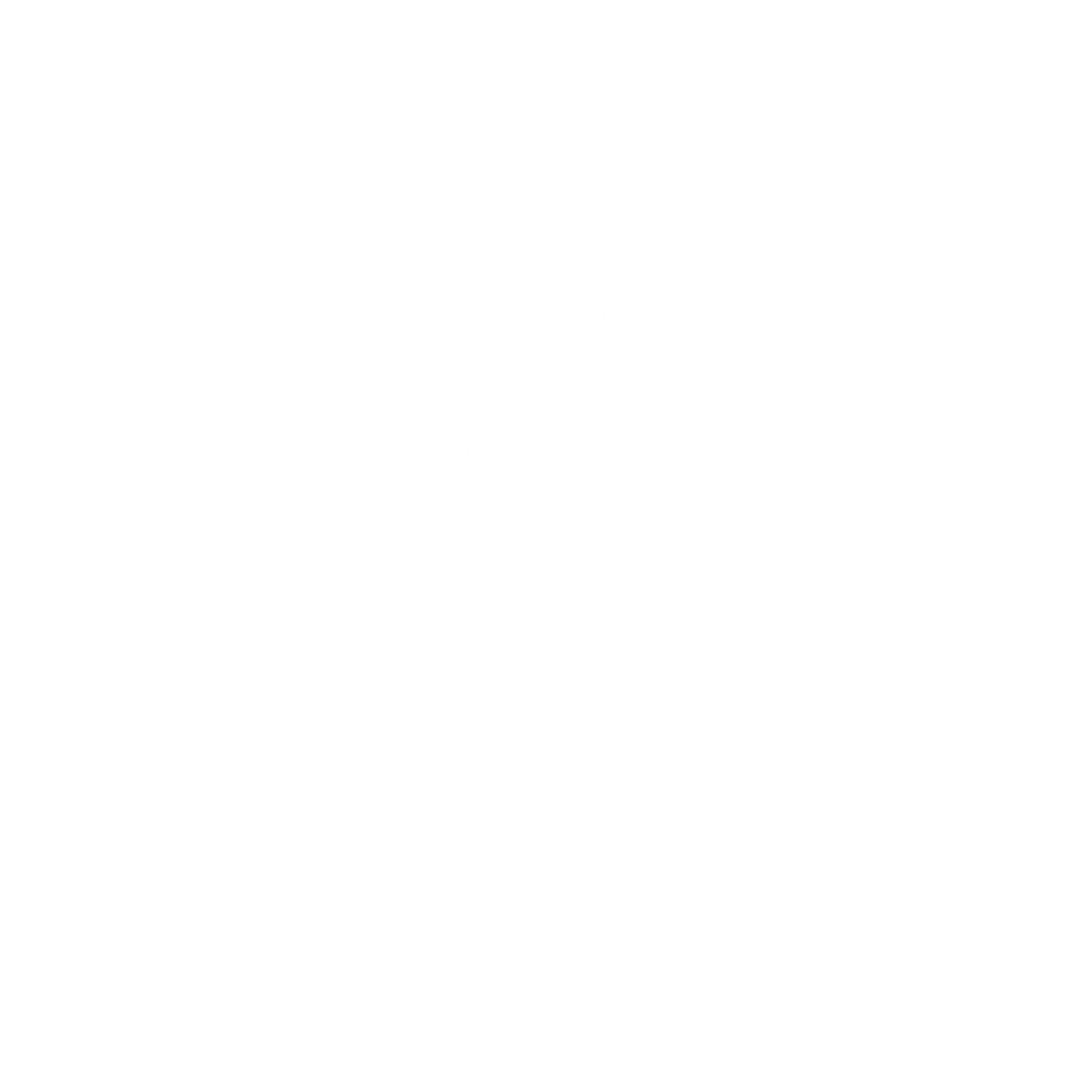 die kleine fotografin
