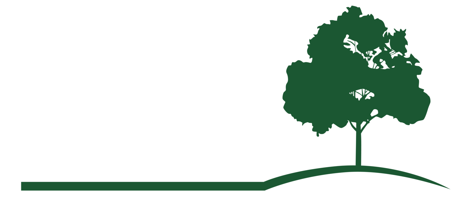 Mending Wall Landscaping, LLC