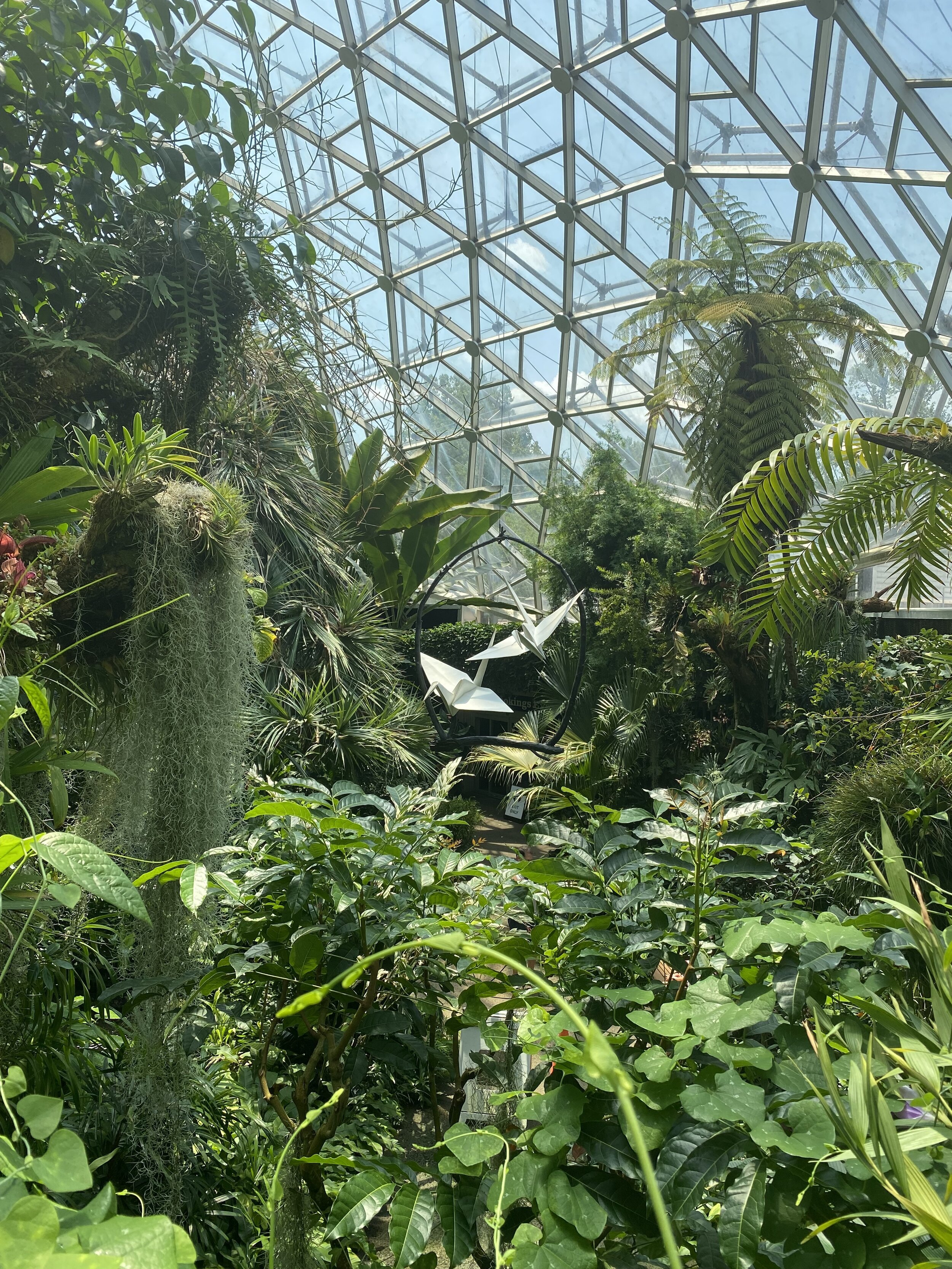 IMG_5492.jpeg