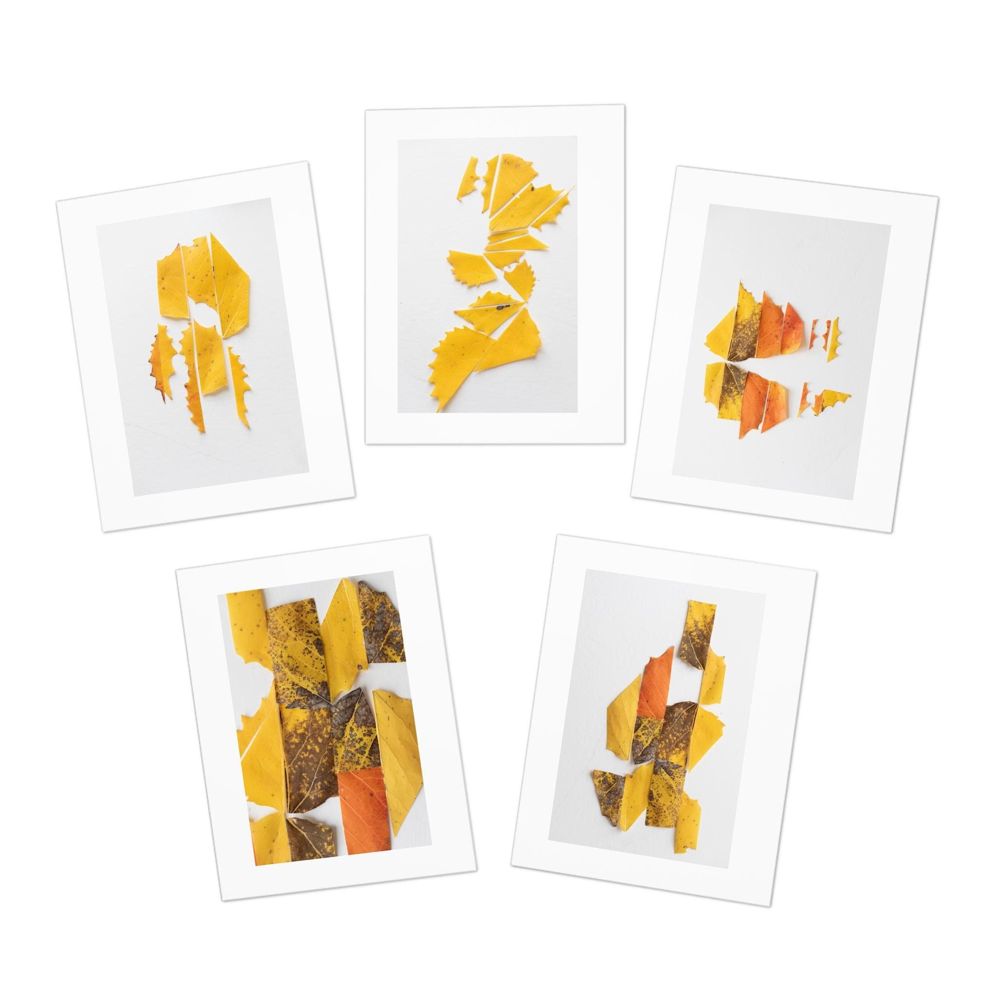 https://i.etsystatic.com/41323394/r/il/0938a9/6490927223/il_fullxfull.6490927223_palw.jpg