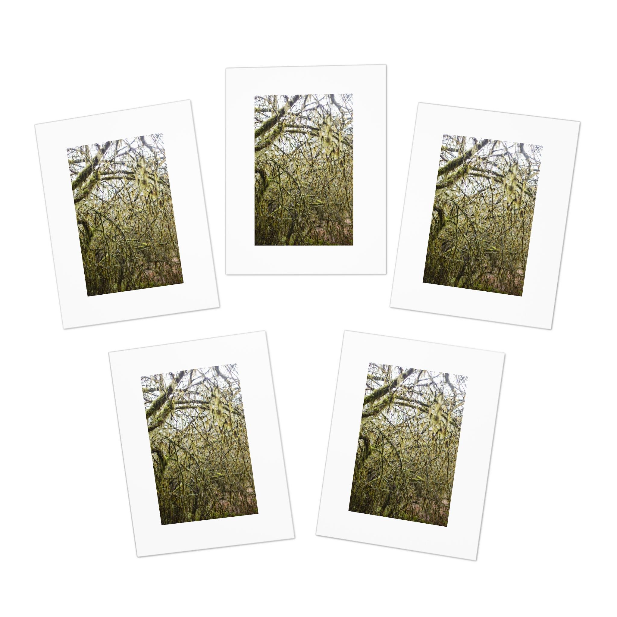 https://i.etsystatic.com/41323394/r/il/9b4f78/6324317835/il_fullxfull.6324317835_8dq2.jpg