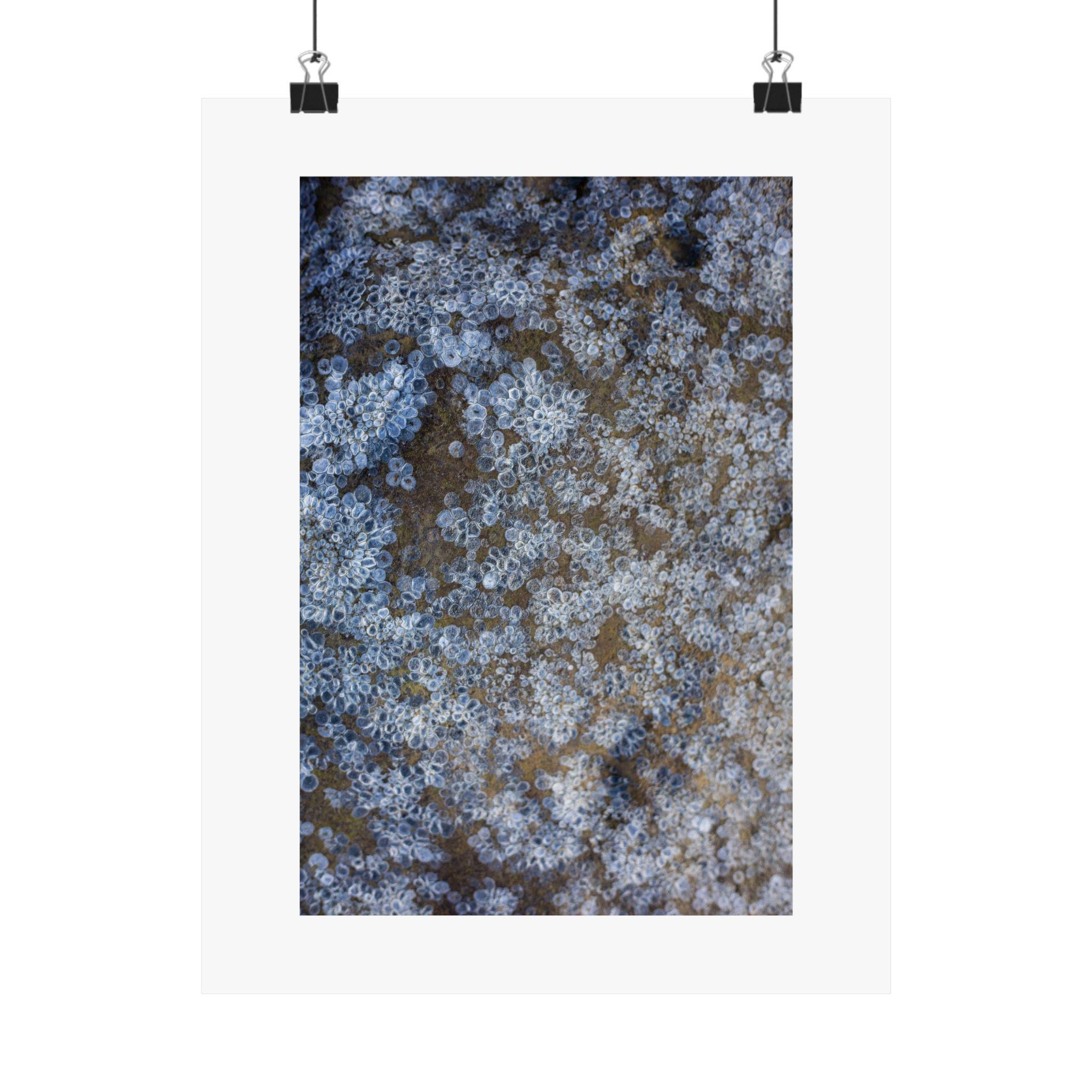 https://i.etsystatic.com/41323394/r/il/644a90/6276222854/il_fullxfull.6276222854_f00u.jpg