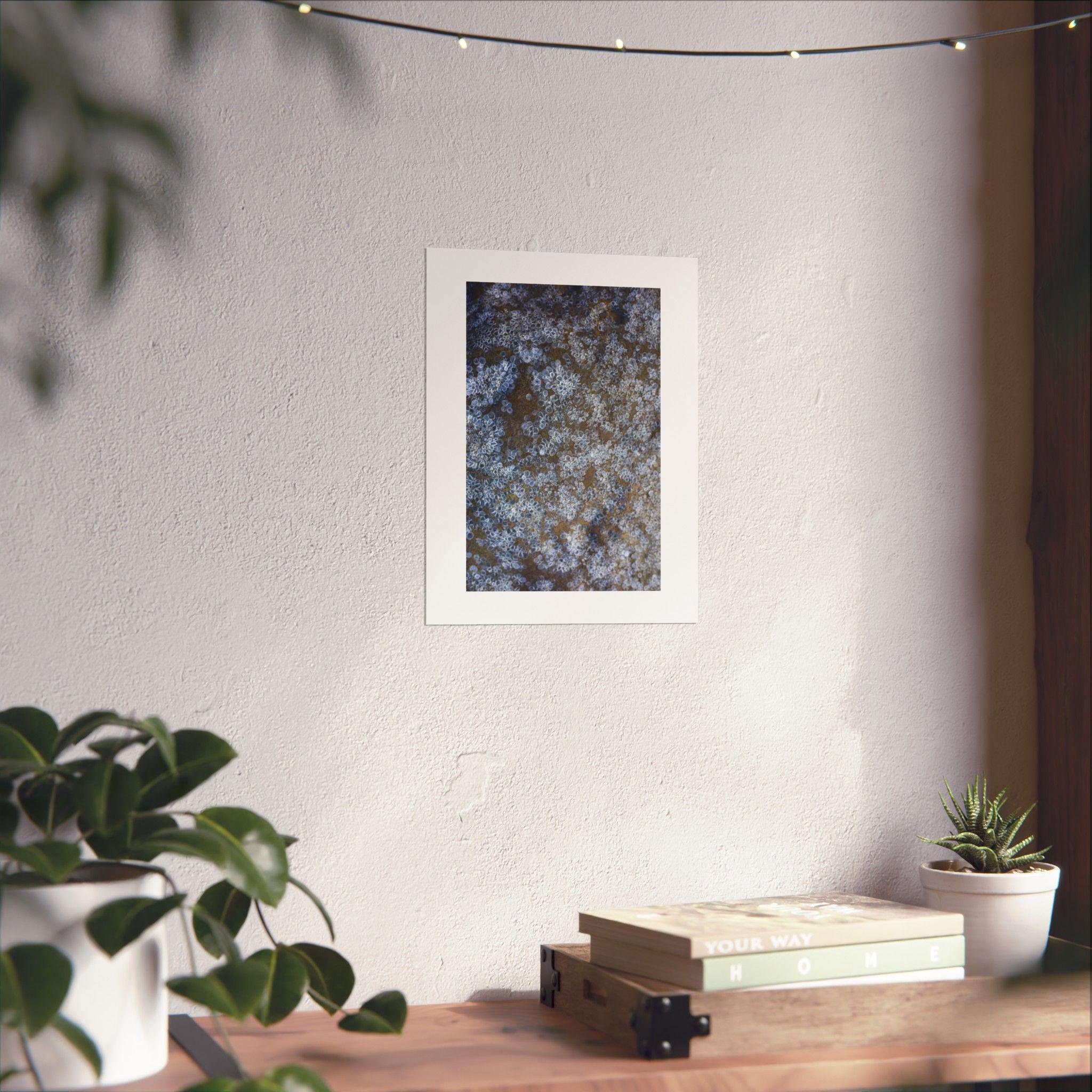 https://i.etsystatic.com/41323394/r/il/0bc460/6276223192/il_fullxfull.6276223192_s6lw.jpg