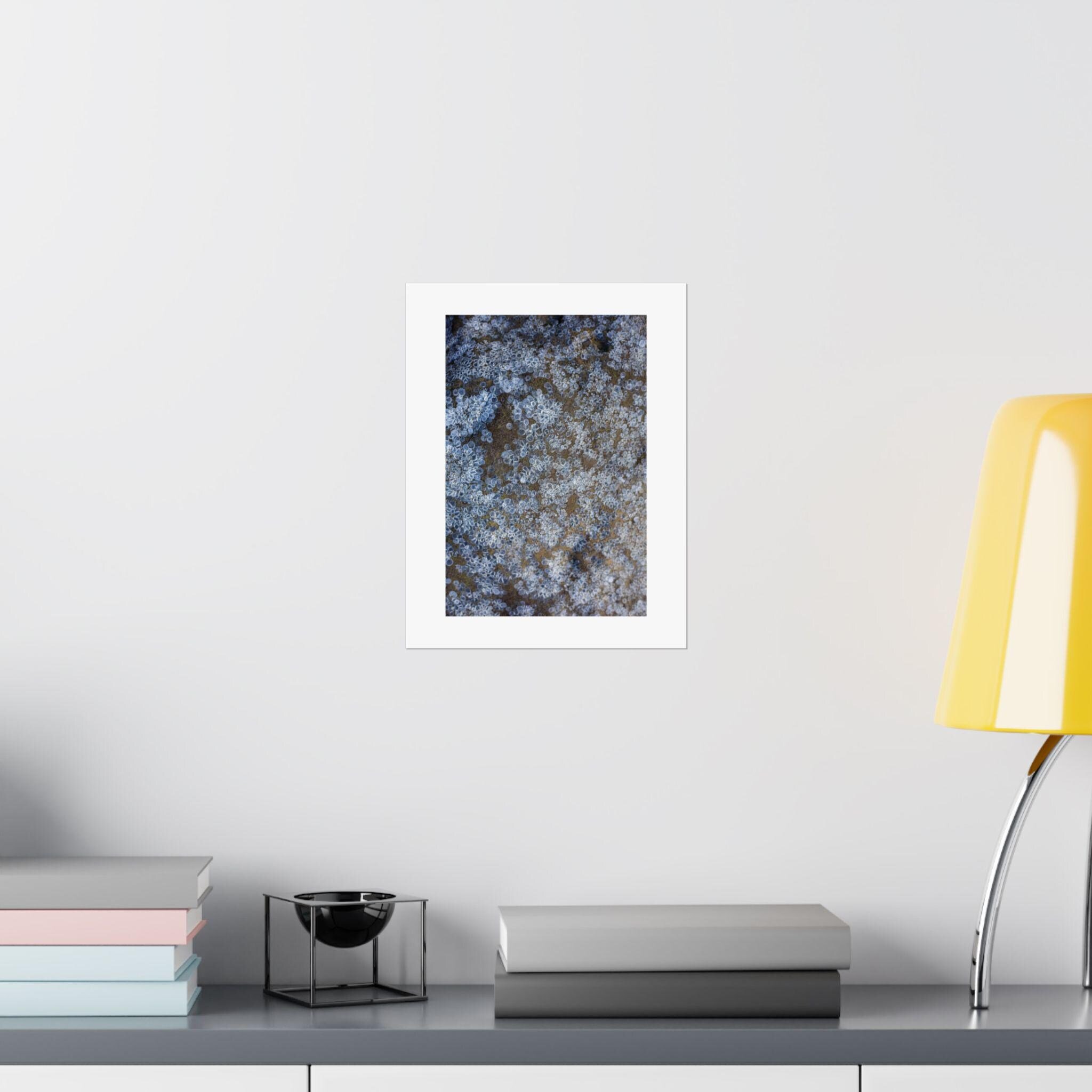 https://i.etsystatic.com/41323394/r/il/e61ddd/6324282535/il_fullxfull.6324282535_273t.jpg