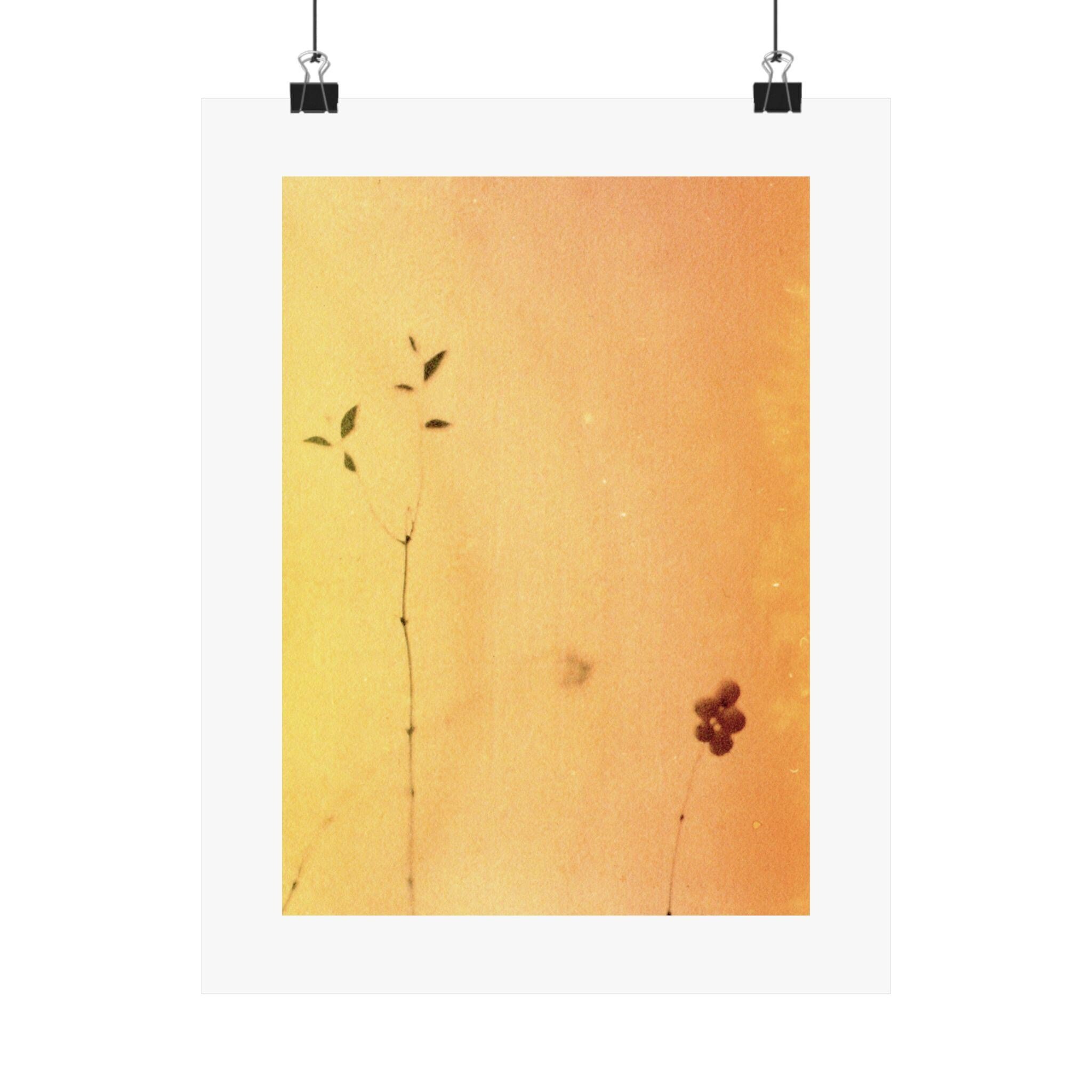 https://i.etsystatic.com/41323394/r/il/c6e0f0/6324261071/il_fullxfull.6324261071_jztp.jpg