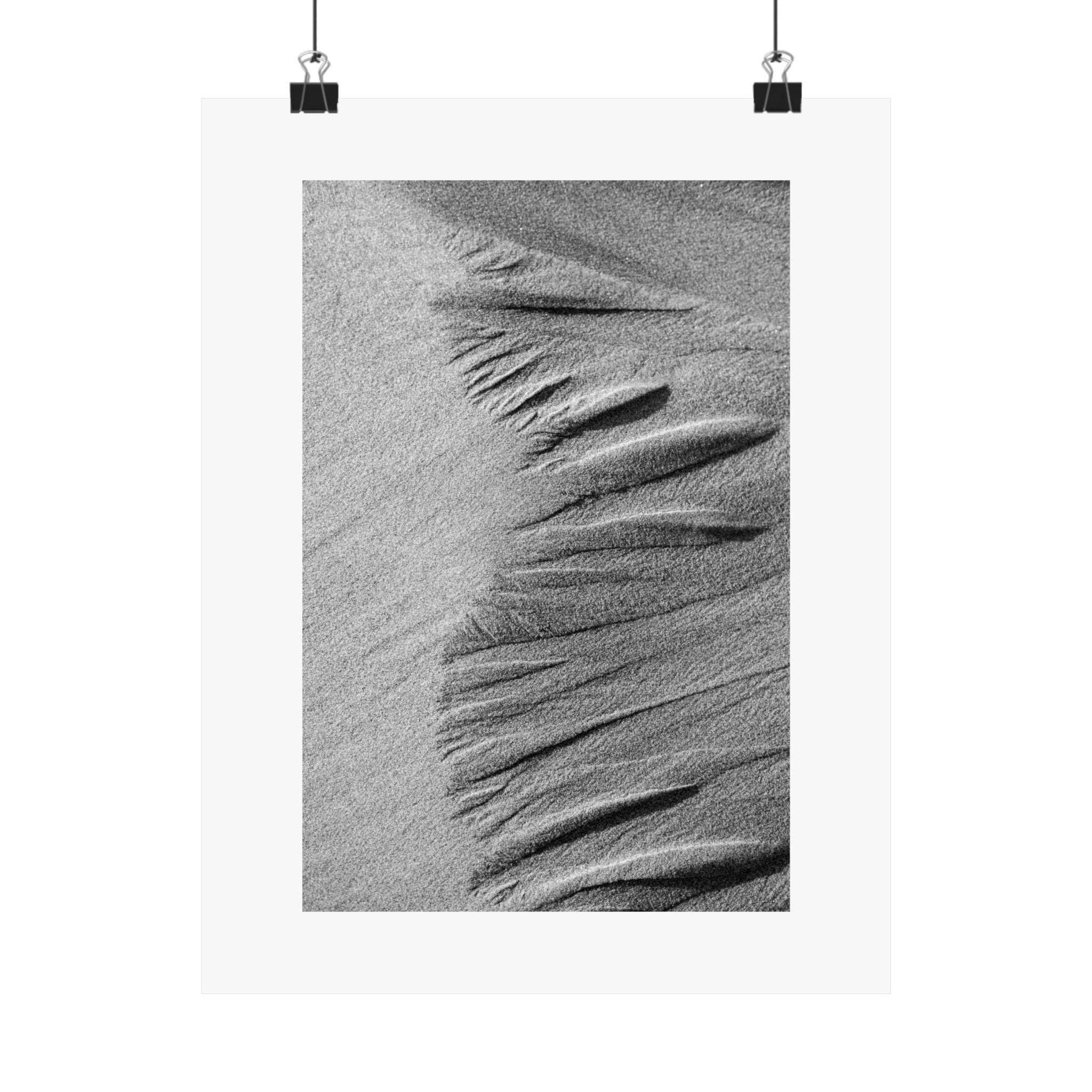 https://i.etsystatic.com/41323394/r/il/18eb96/6276170262/il_fullxfull.6276170262_pjwz.jpg