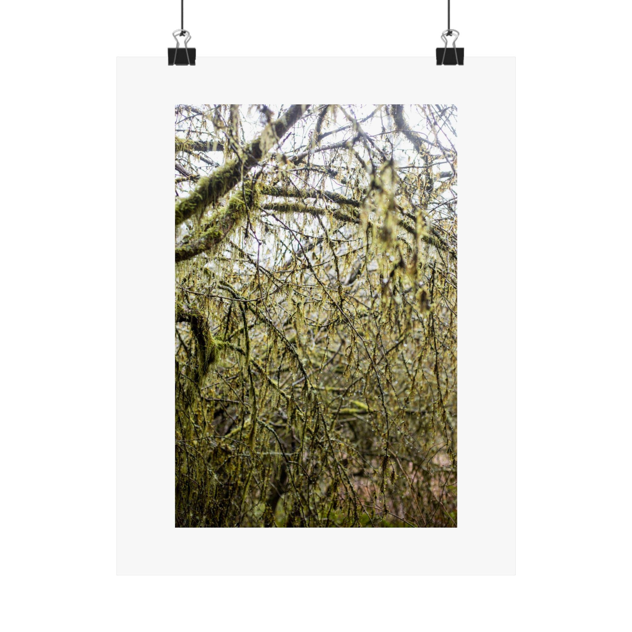 https://i.etsystatic.com/41323394/r/il/ad1f45/6276173964/il_fullxfull.6276173964_e5p1.jpg