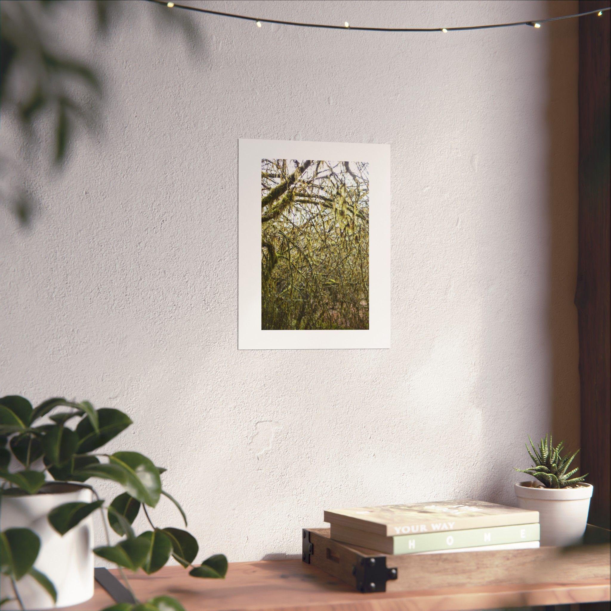 https://i.etsystatic.com/41323394/r/il/afdc20/6324234905/il_fullxfull.6324234905_6ptv.jpg