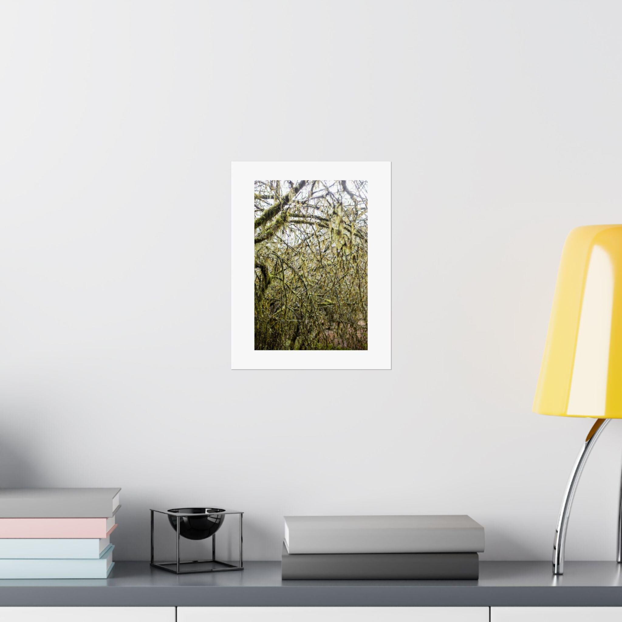 https://i.etsystatic.com/41323394/r/il/5e2832/6324236849/il_fullxfull.6324236849_ee89.jpg