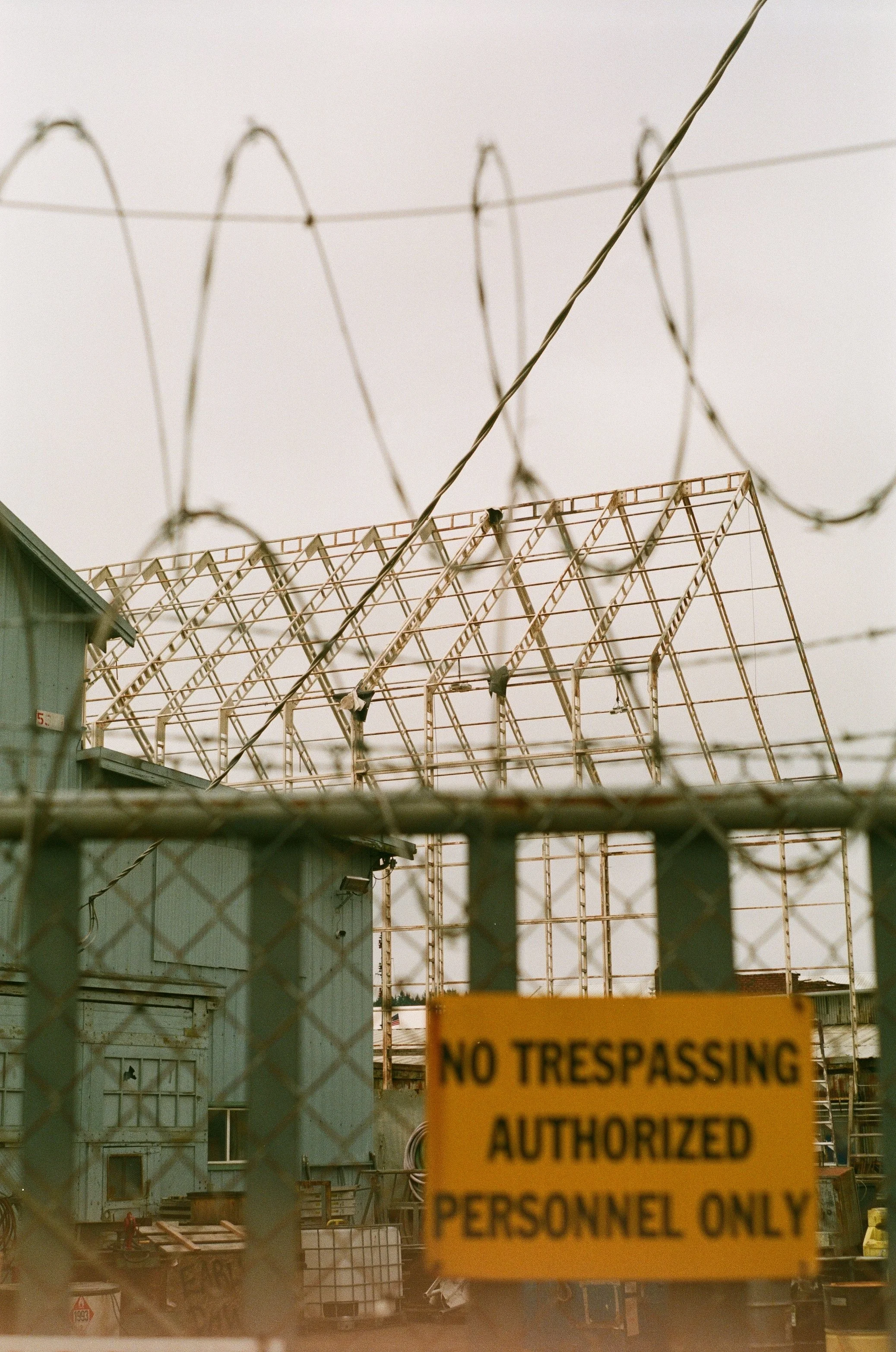 Scan261105.jpg