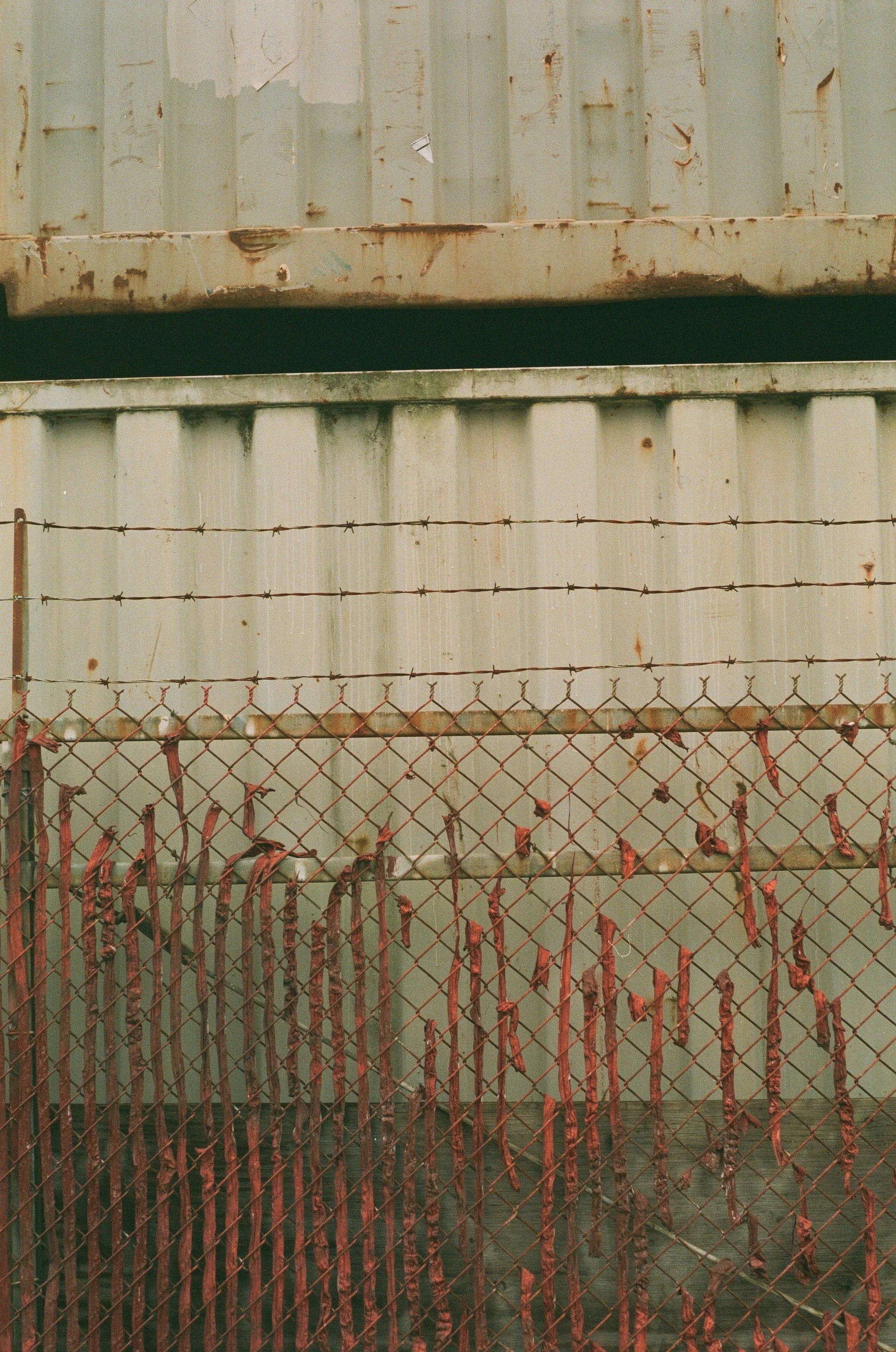 Scan261090.jpg