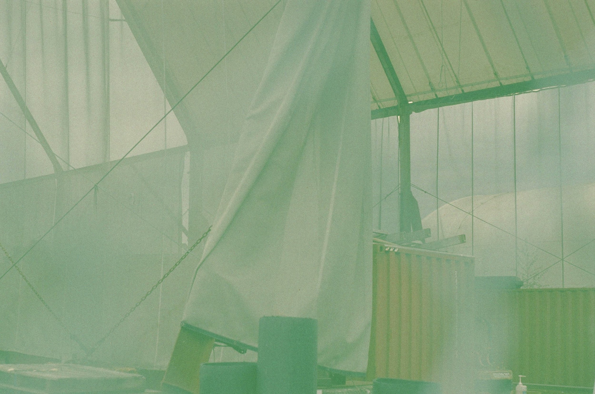 Scan290684.jpg