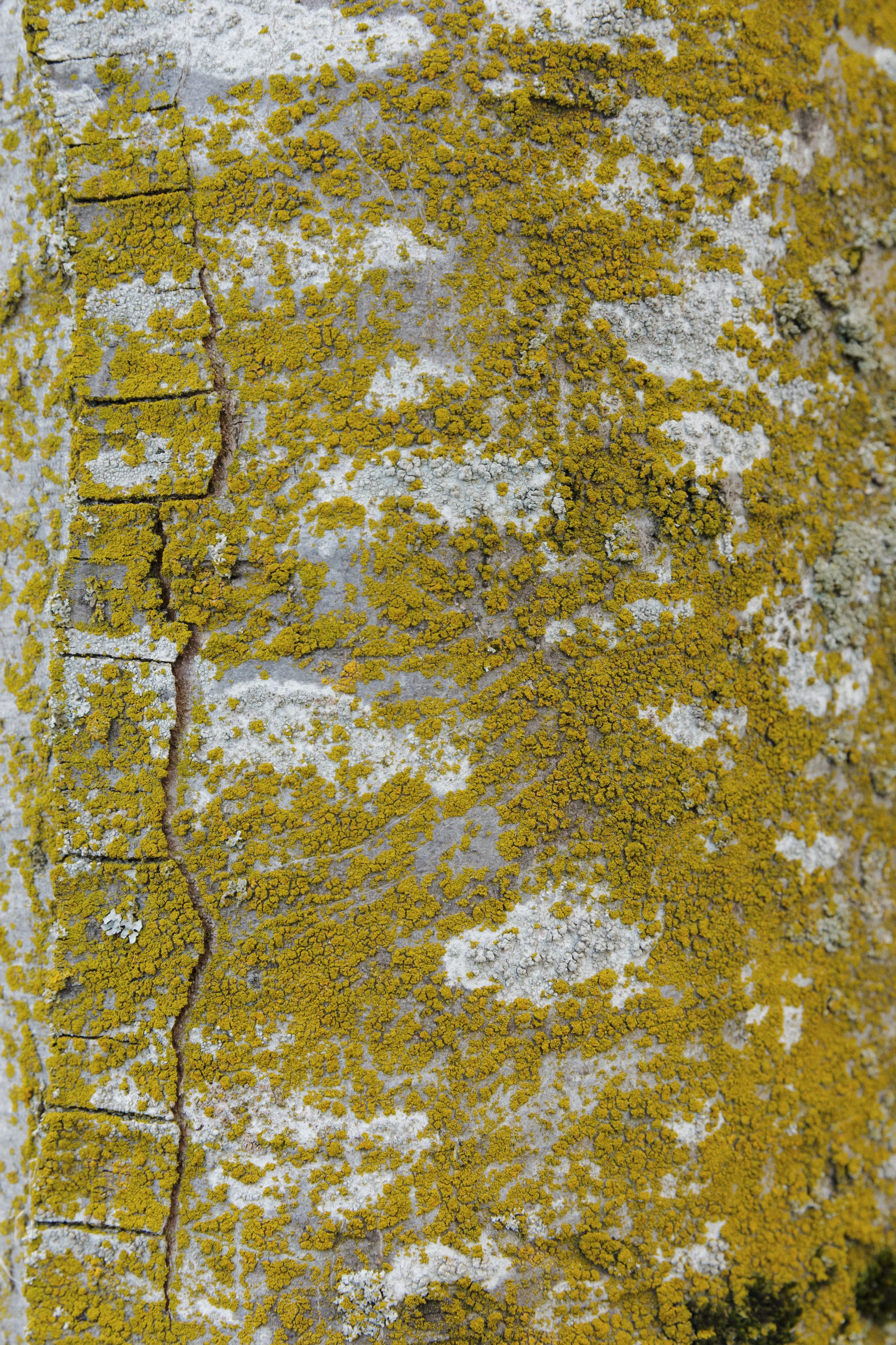 ballard_photo walk march6.jpg