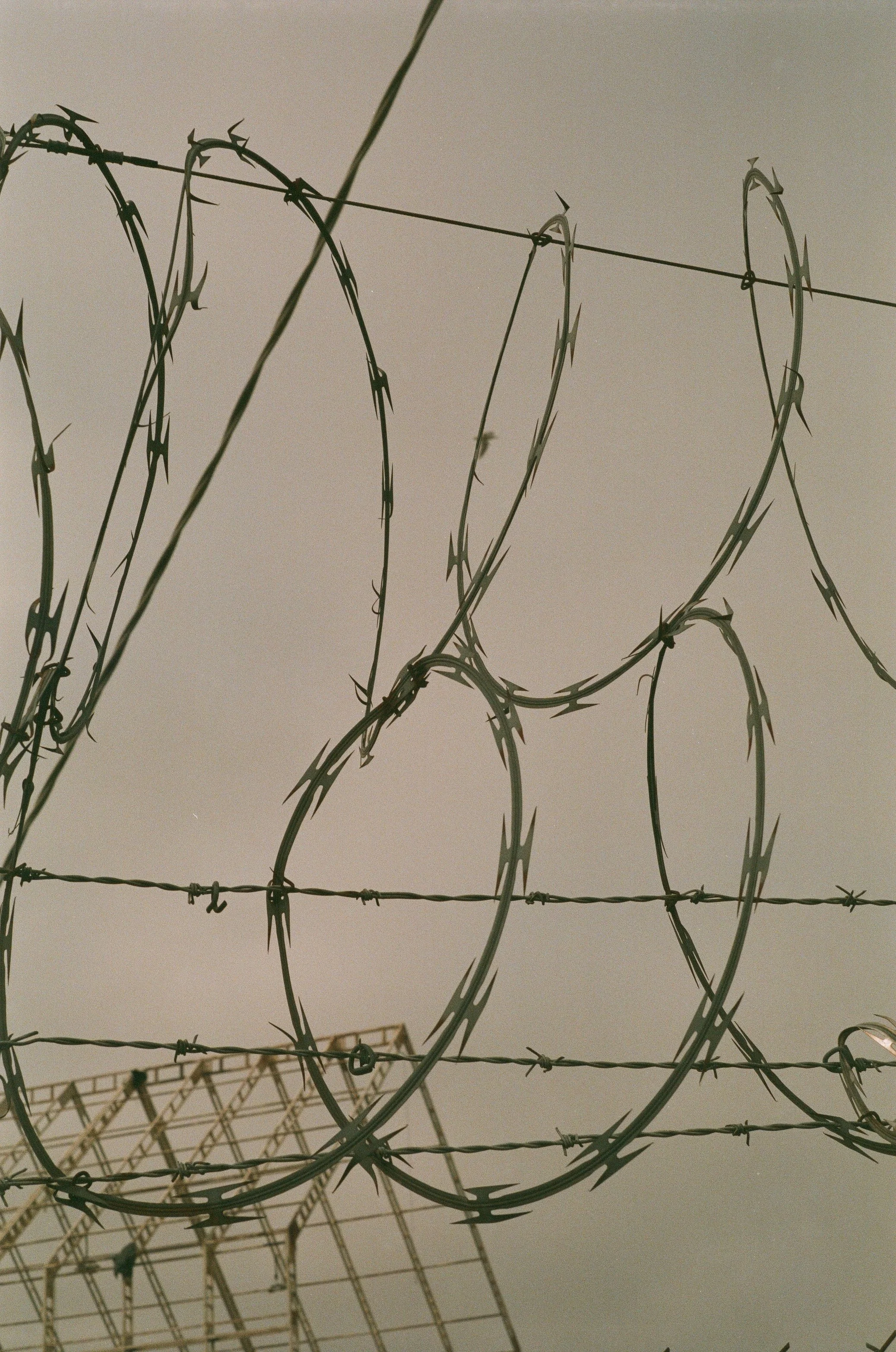 Scan261104.jpg