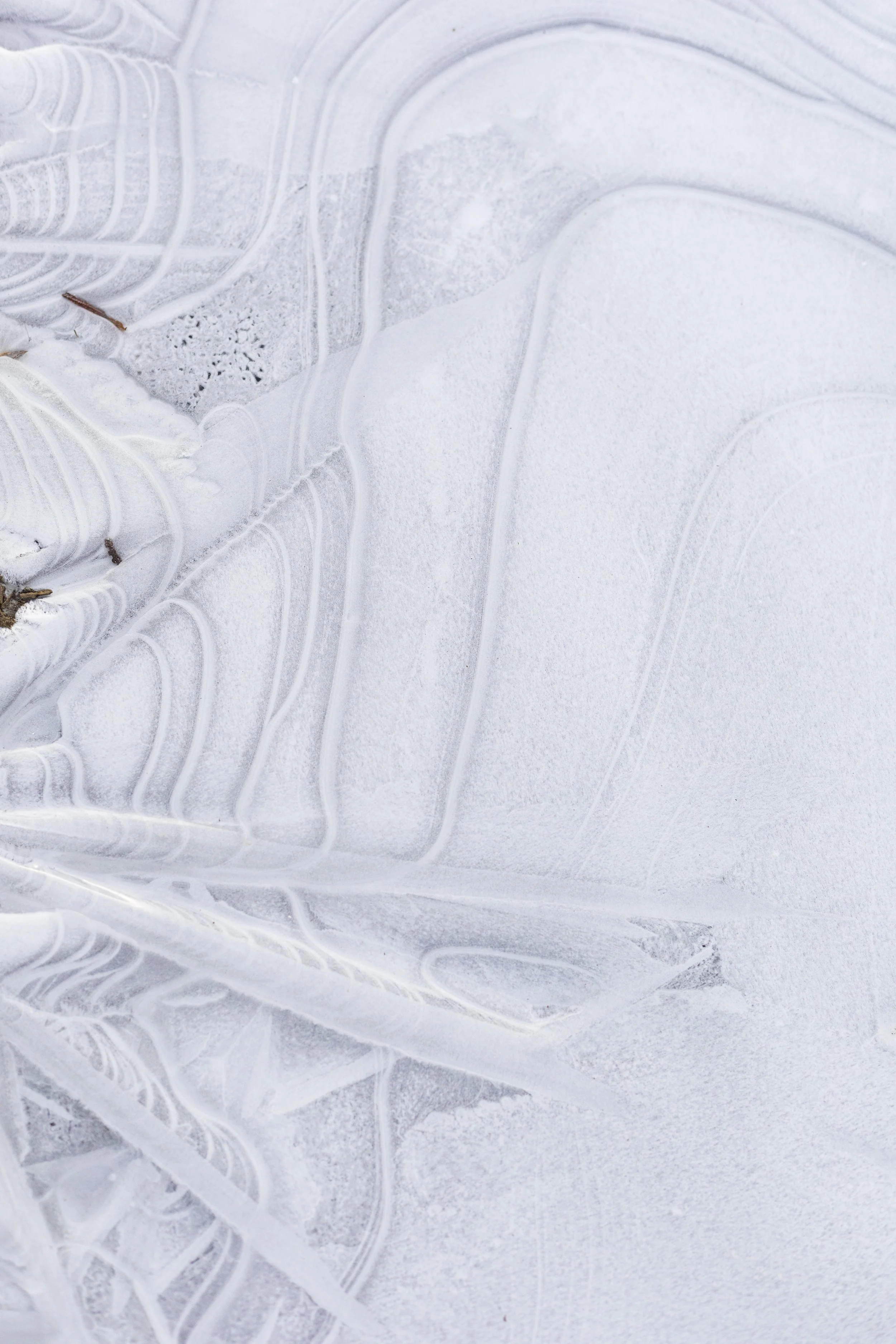 Photo Quilts + Installations