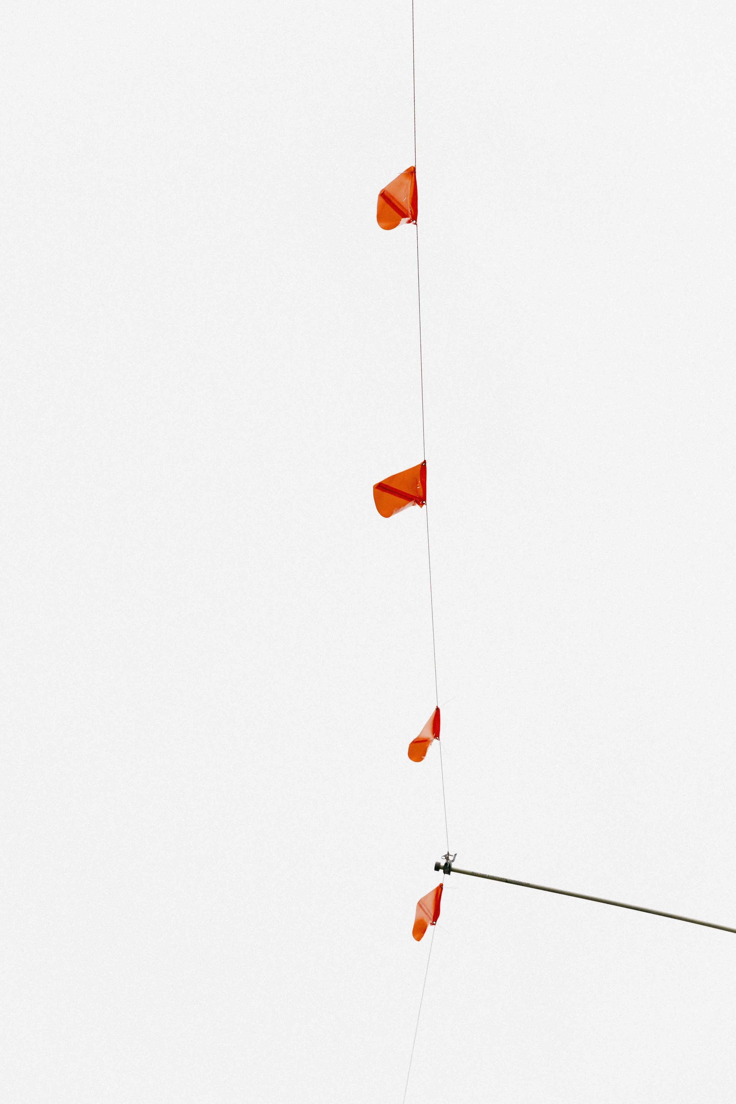 ballard_photo walk march27.jpg