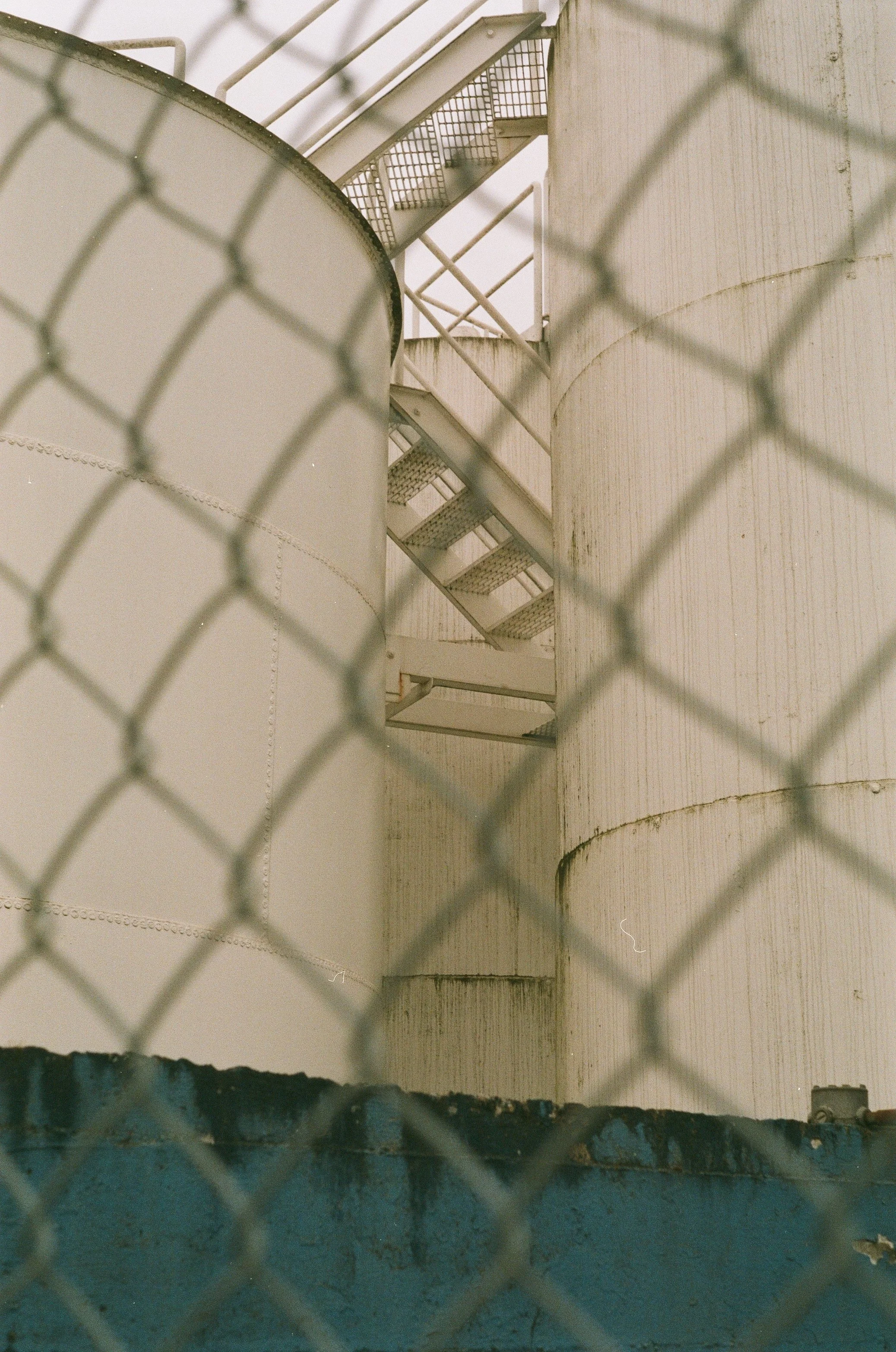 Scan261091.jpg