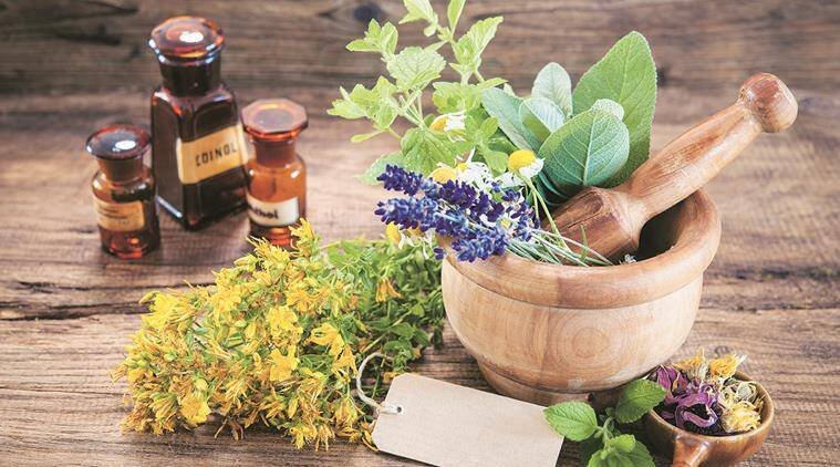 Moon & Menstrual Cycles: How to Harness the Power of Your Cycle for Pr –  Wild Yarrow Herbal Medicine Clinic & Dispensary
