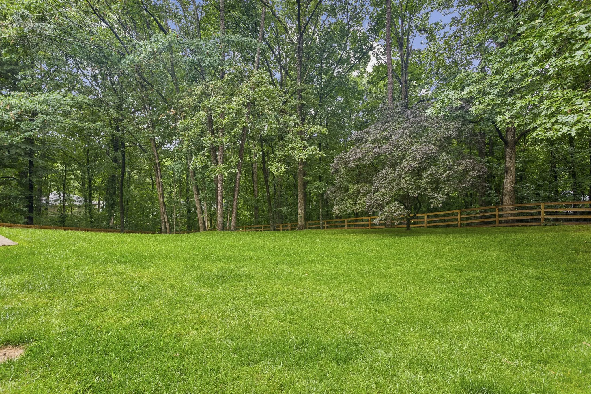 2030 Arbor Forest Dr_131.jpg