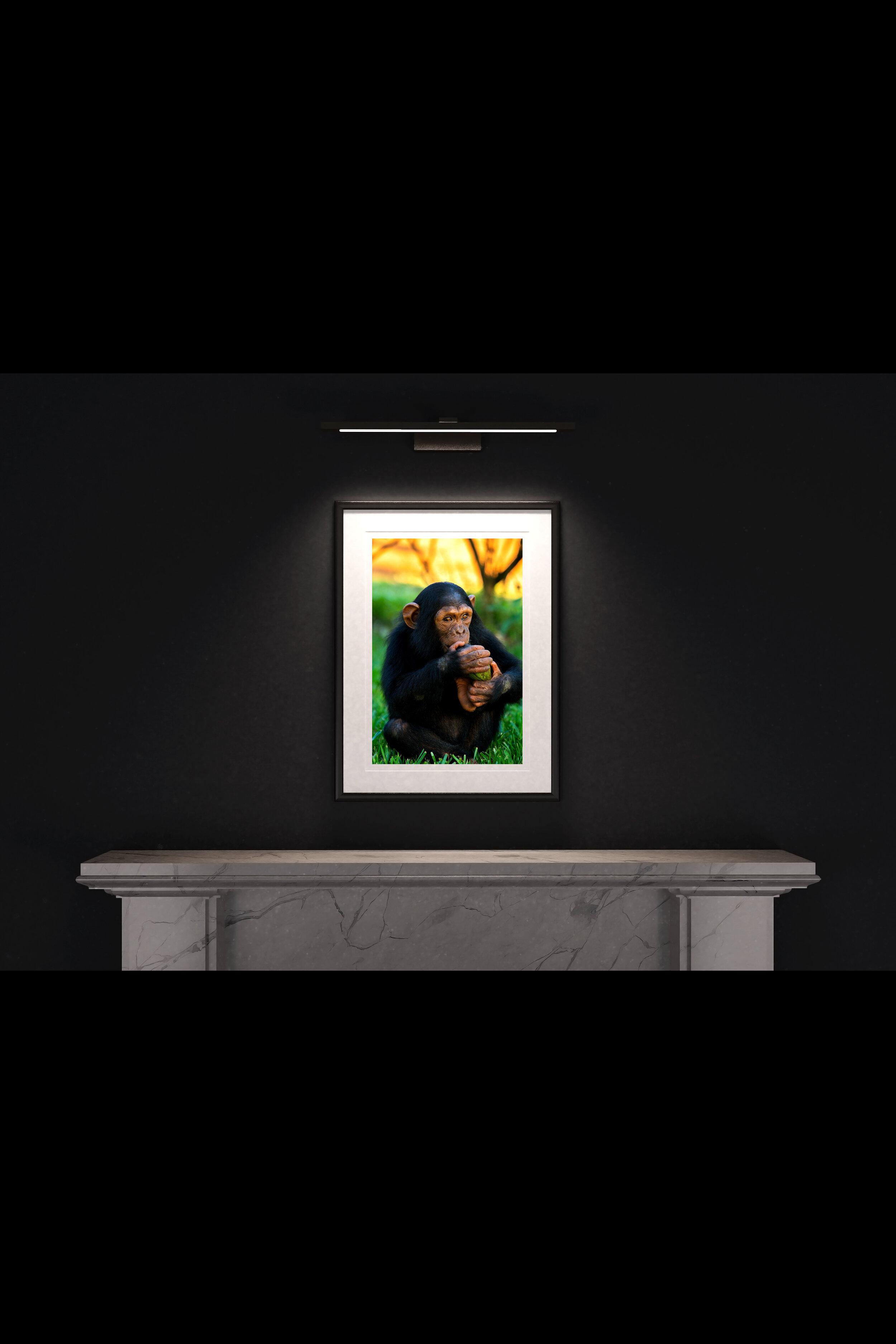 (1) FP_A2_PF_MantlePiece-(Baby_Chimp_02-04670).jpg