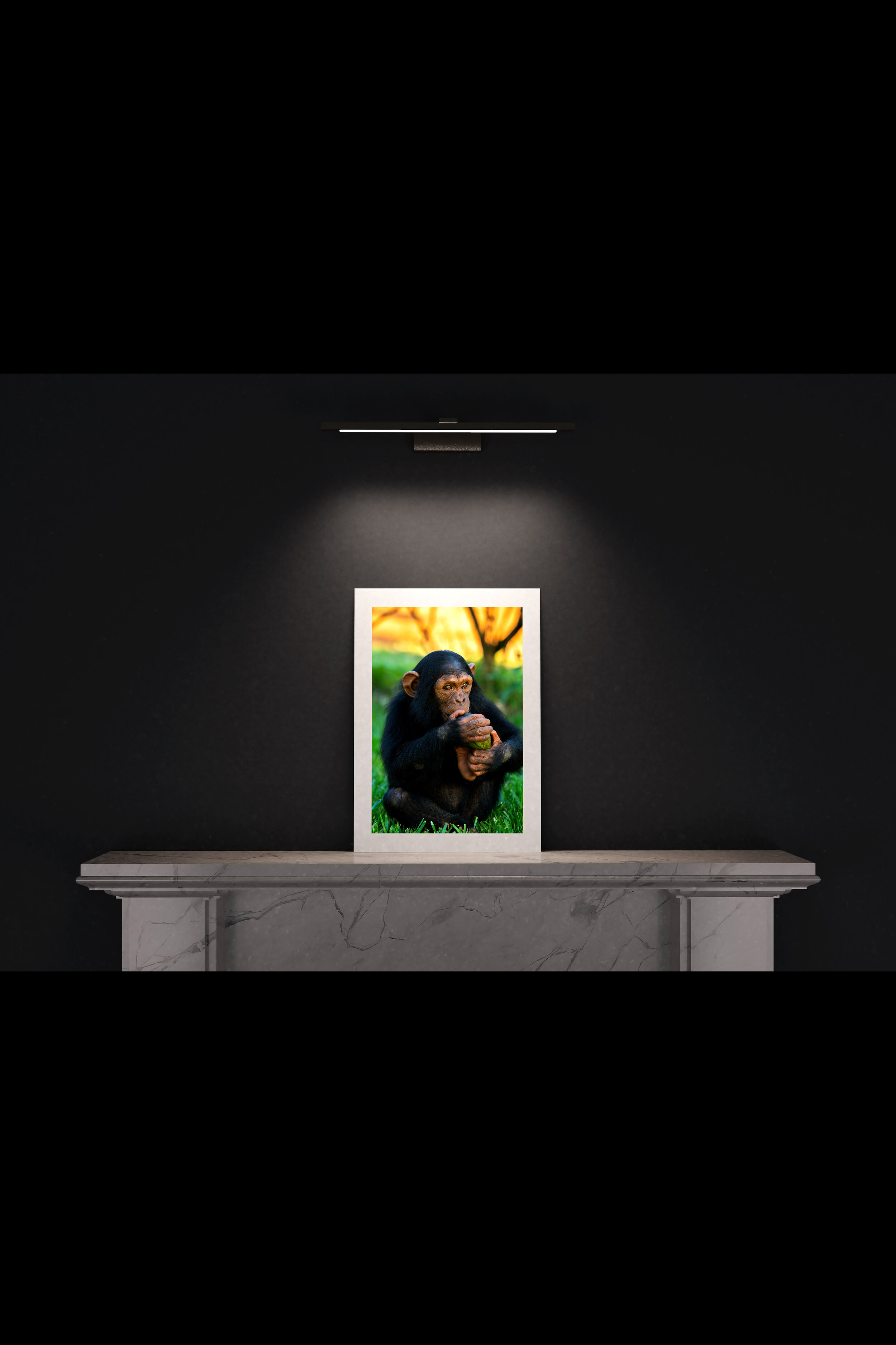(3) FP_A2_P_MantlePiece-(Baby_Chimp_02-04670).jpg