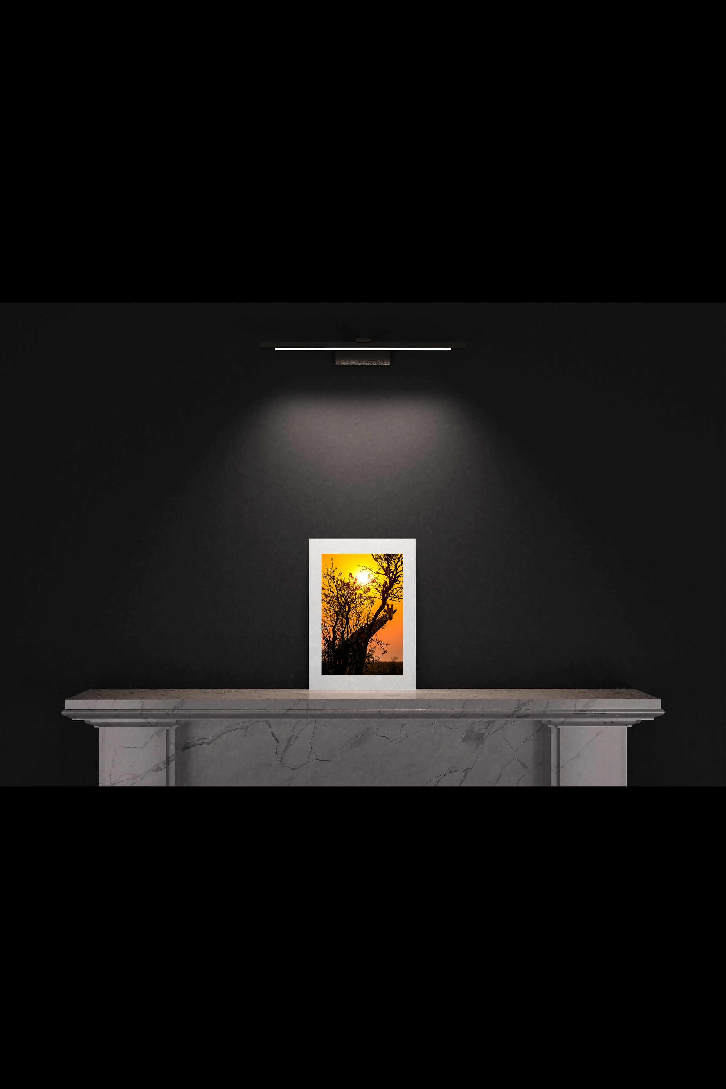 (4) FP_A3_P_MantlePiece-(Giraffe_Looking_Around_Tree_Sunrise-04126).jpg