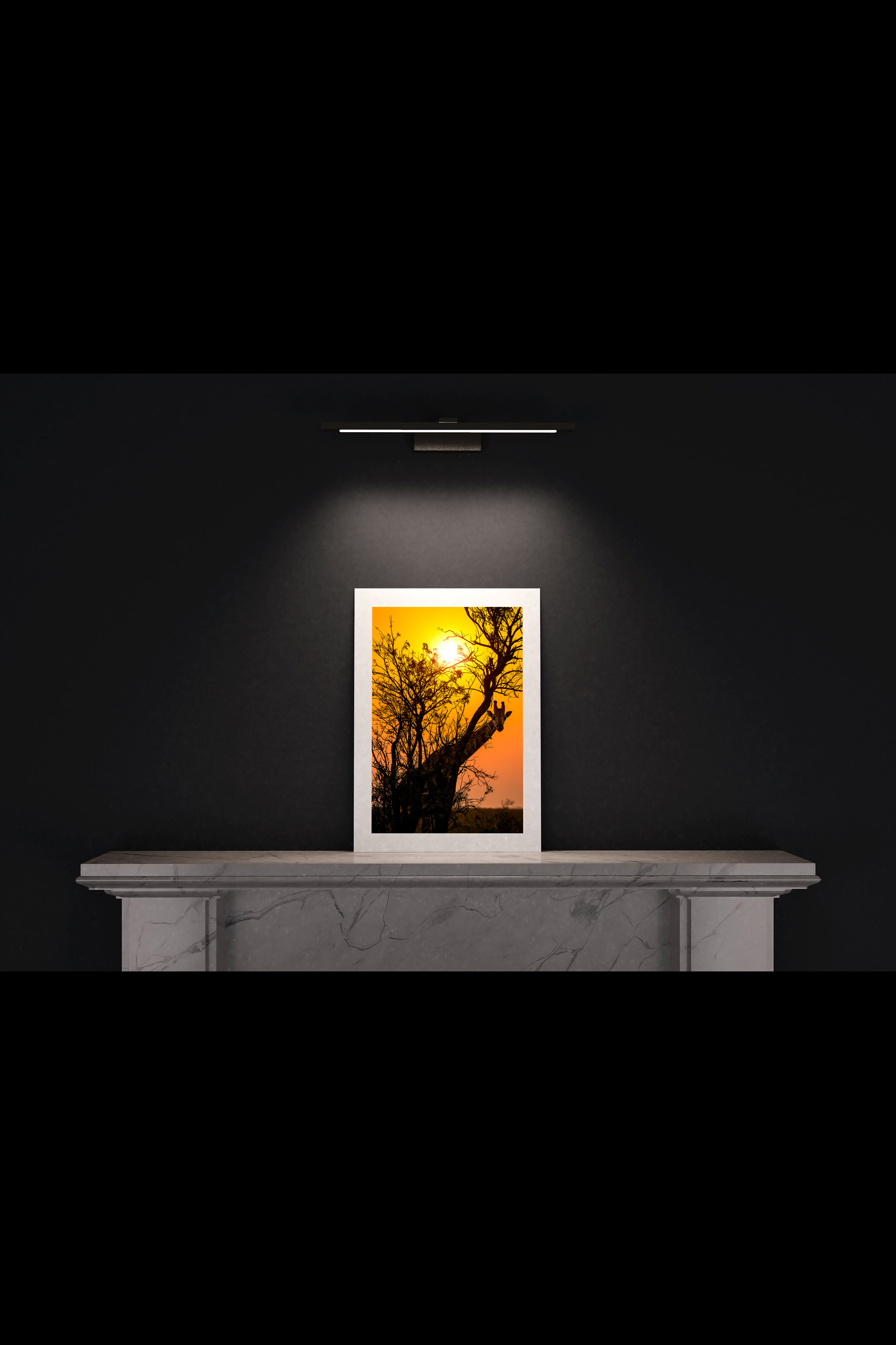 (3) FP_A2_P_MantlePiece-(Giraffe_Looking_Around_Tree_Sunrise-04126).jpg