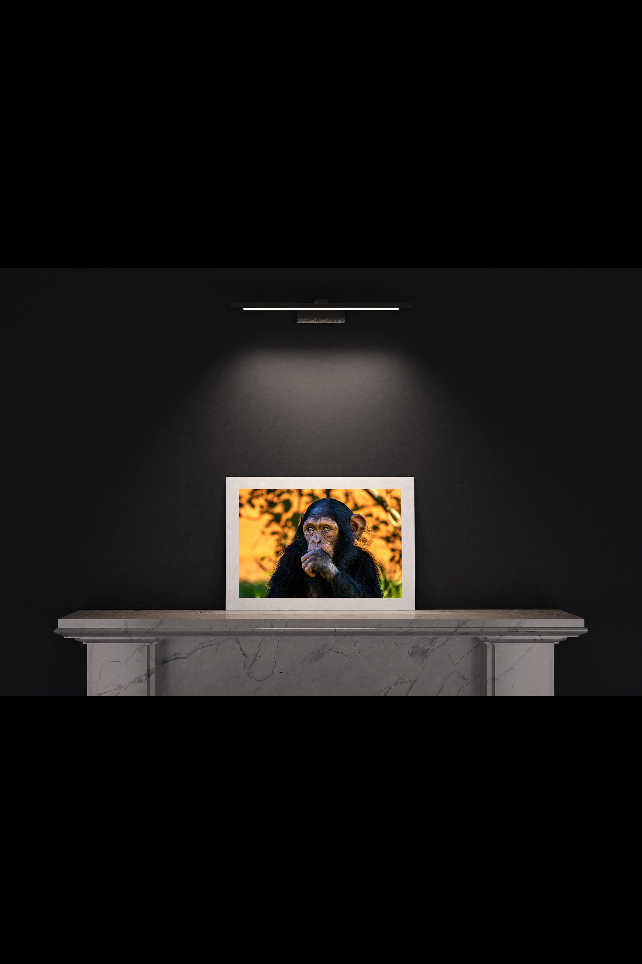 (7) FP_A2_L_MantlePiece-(Baby_Chimp_01-04660).jpg