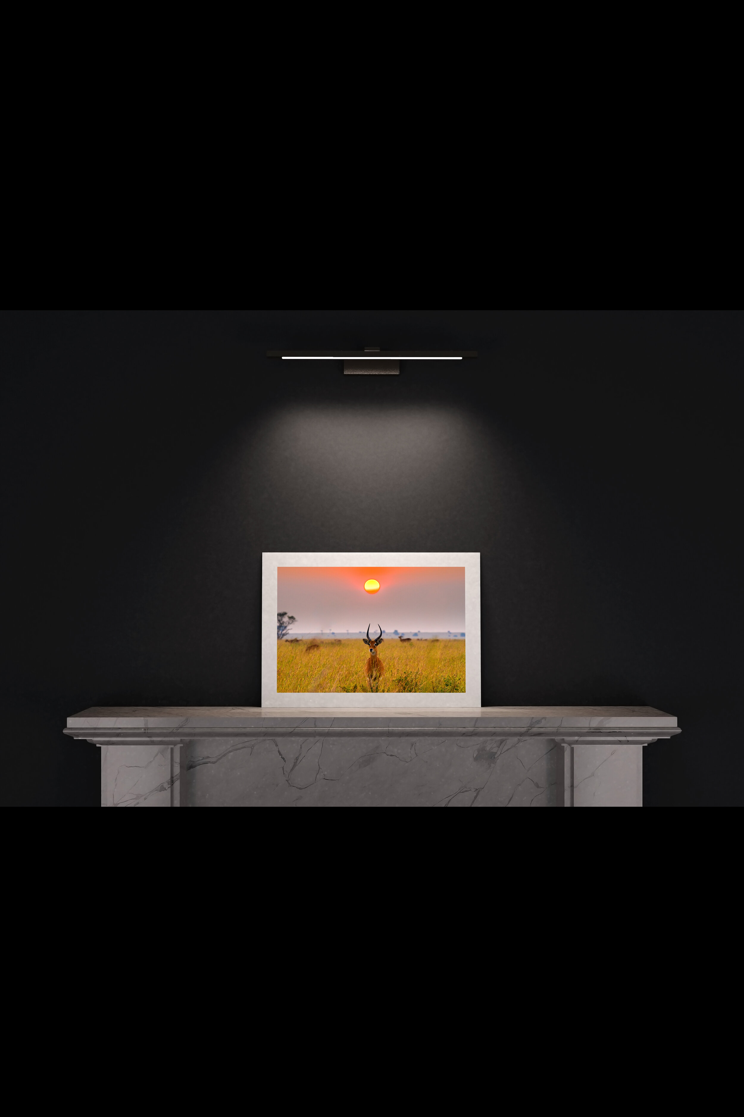 (7) FP_A2_L_MantlePiece-(Impala_Sunrise-DSC03892).jpg
