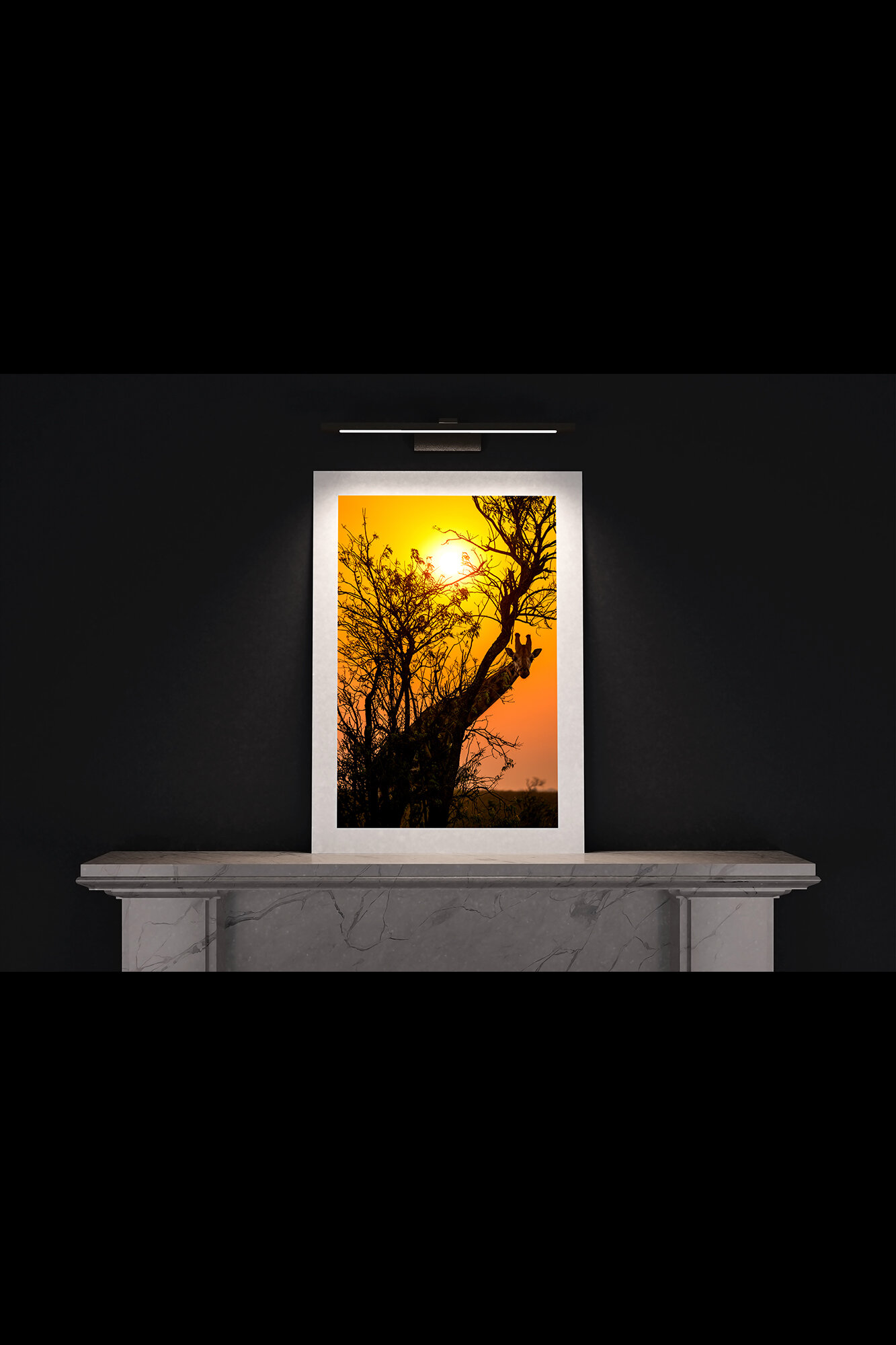 (3.5) FP_A1_P_MantlePiece-(Giraffe_Looking_Around_Tree_Sunrise-04126).jpg