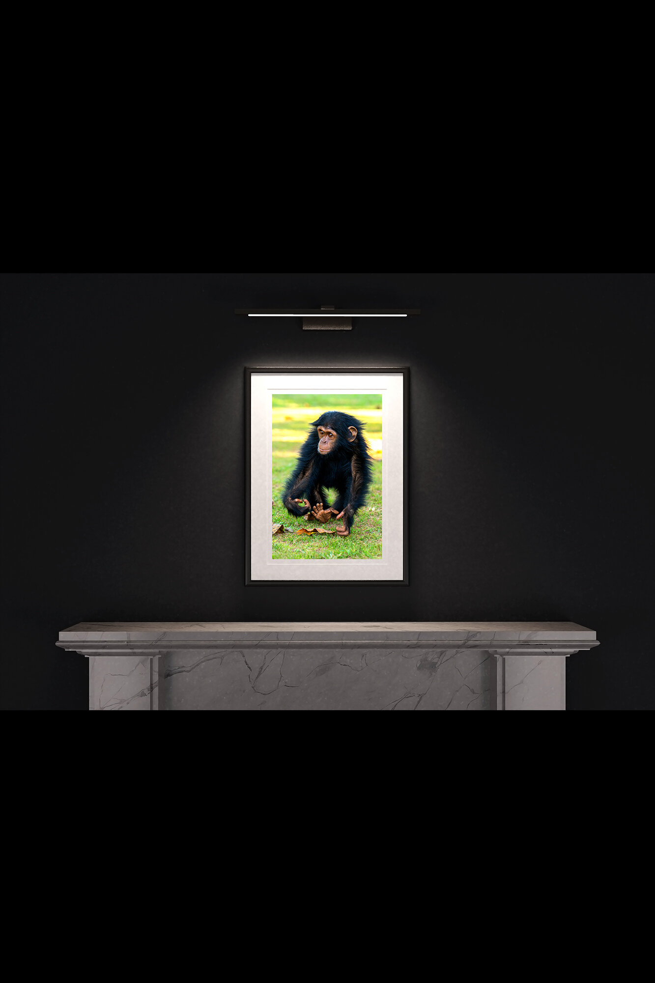(1) FP_A2_PF_MantlePiece-(Baby_Chimpanzee_Walking-05764).jpg