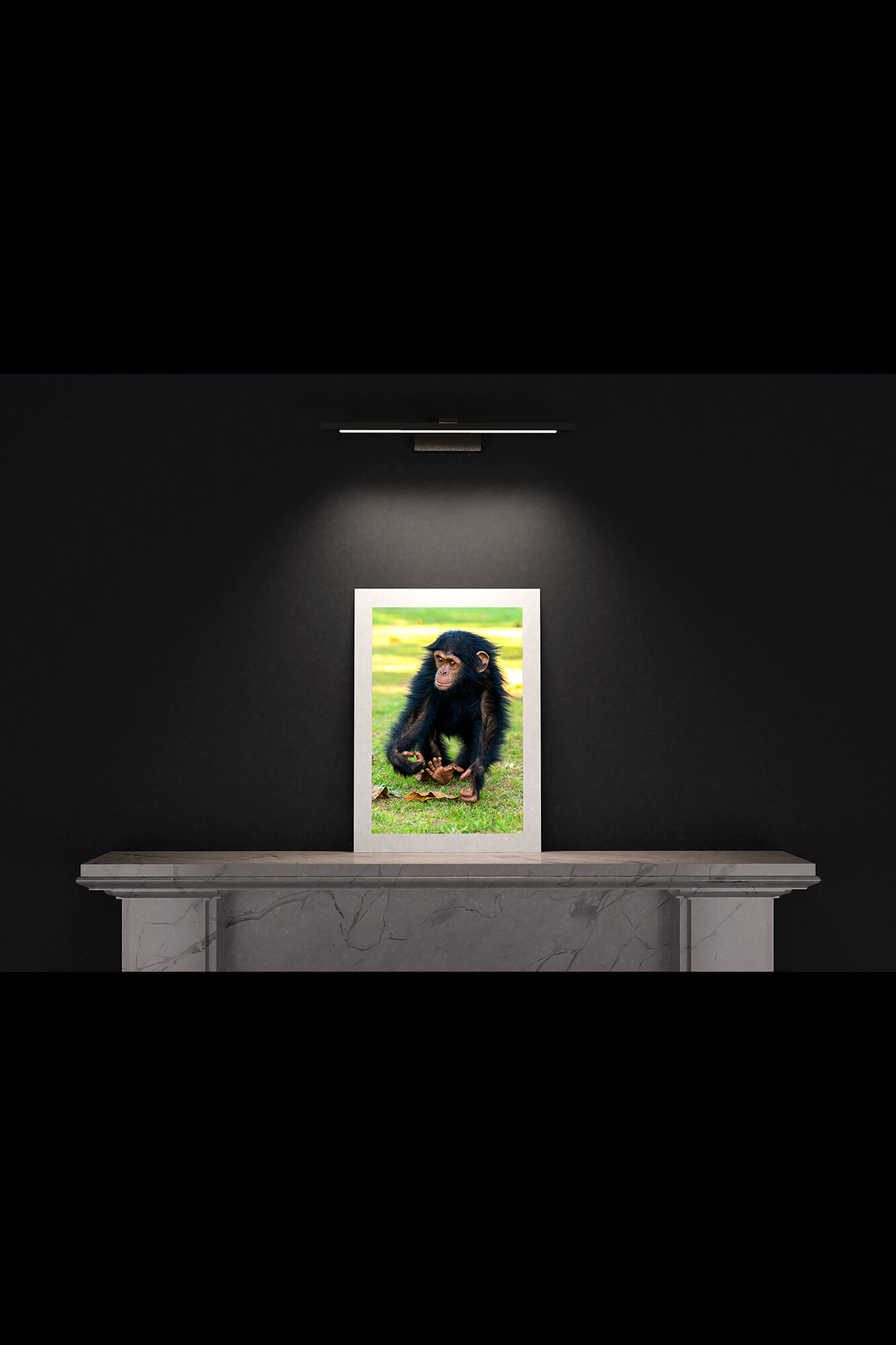 (3) FP_A2_P_MantlePiece-(Baby_Chimpanzee_Walking-05764).jpg
