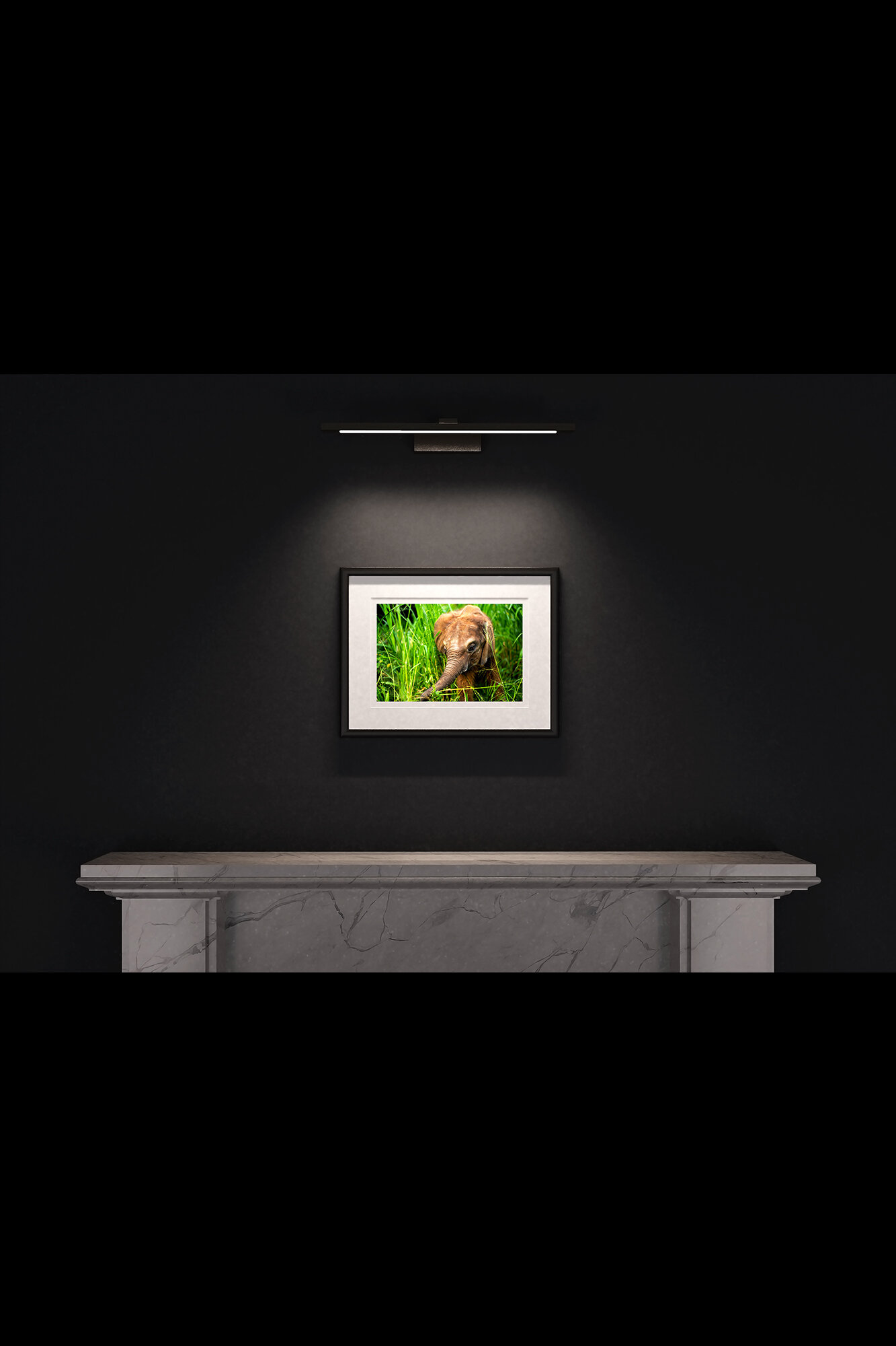 (6) FP_A3_LF_MantlePiece-(Baby_Elephant_(Landscape)-(Colour)-06314).jpg