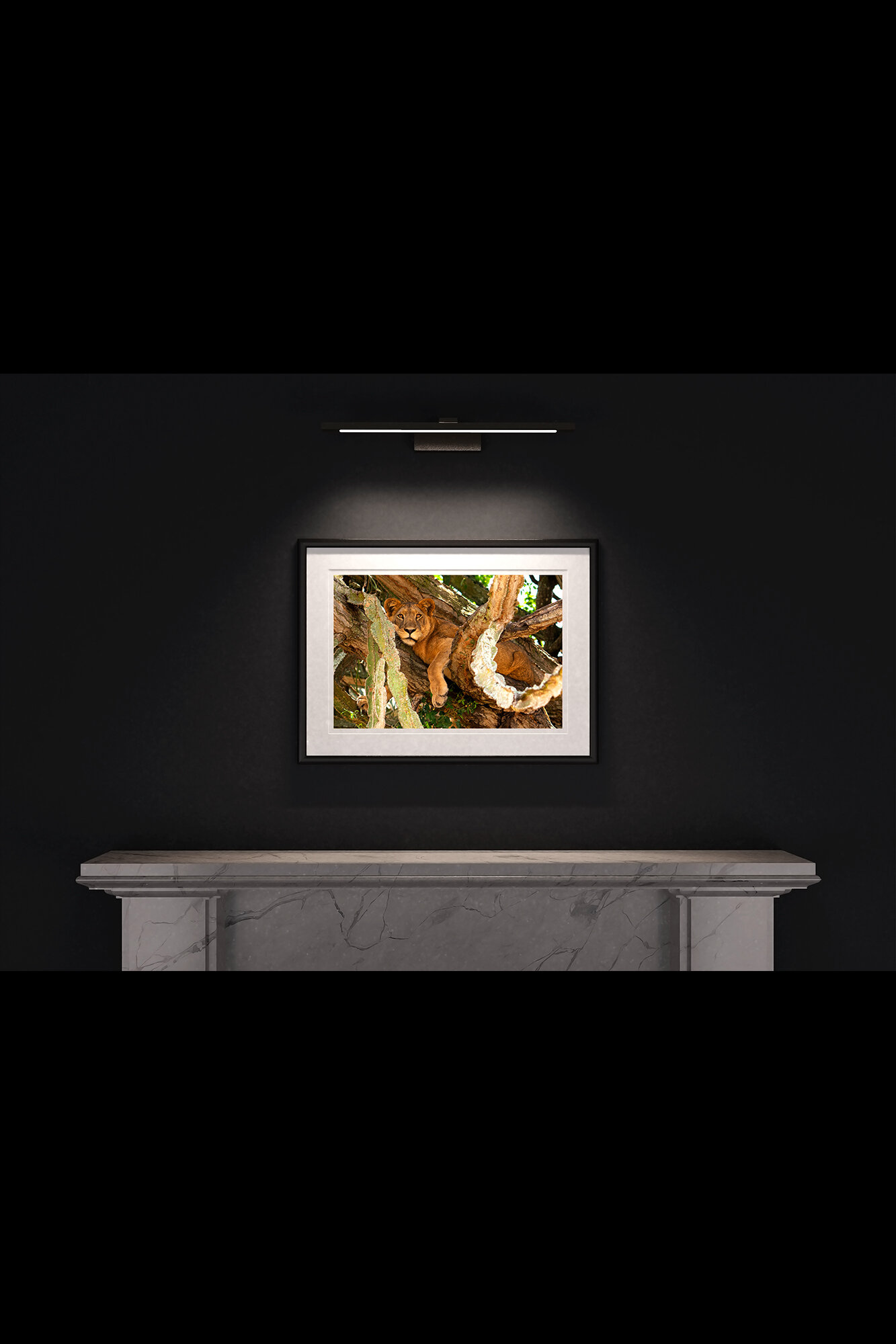 (5) FP_A2_LF_MantlePiece-(Lioness_In_Tree-04528).jpg