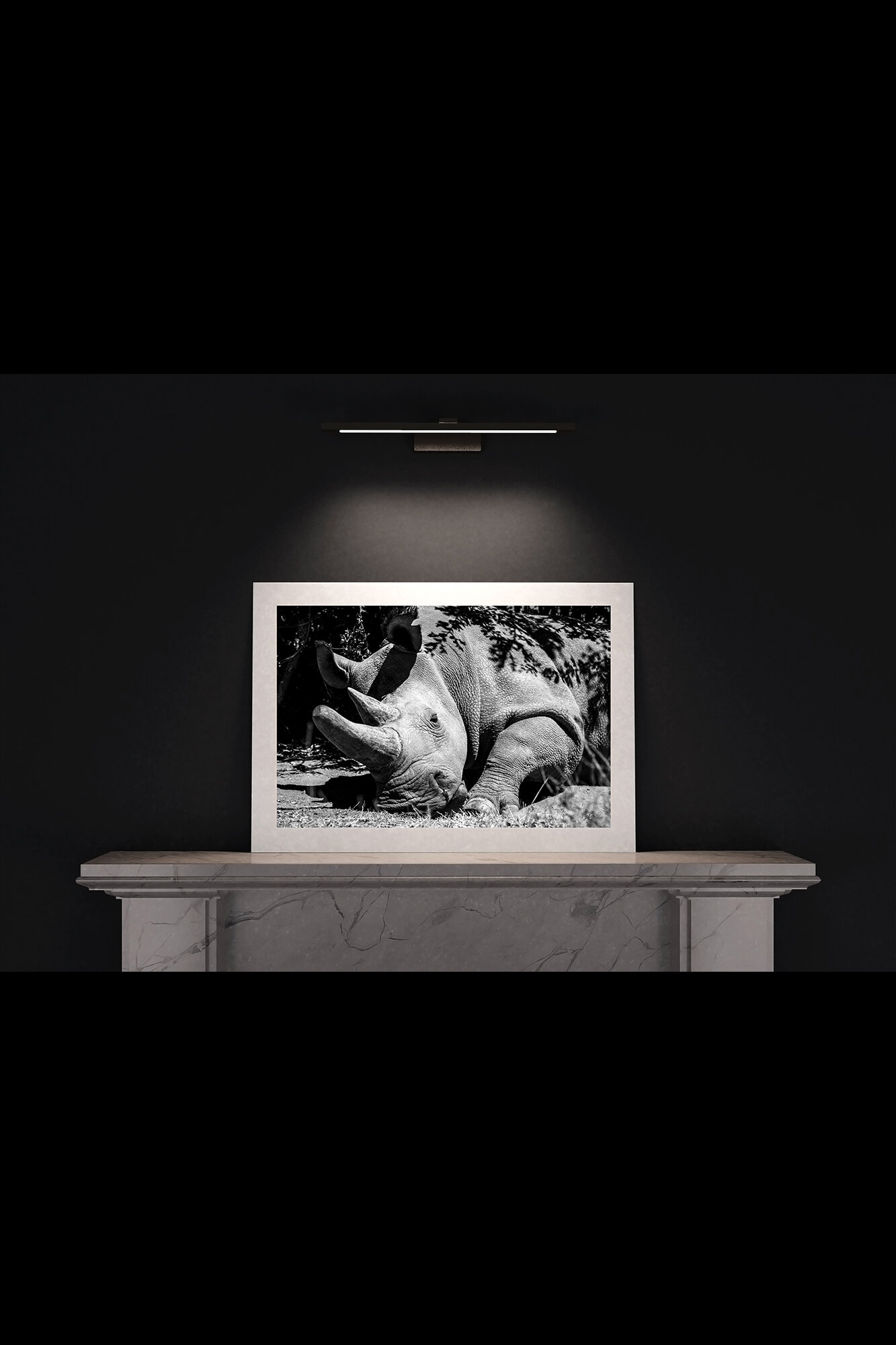 (7.5) FP_A1_L_MantlePiece-(Northern_White_Rhino_(Landscape)-09048-3).jpg