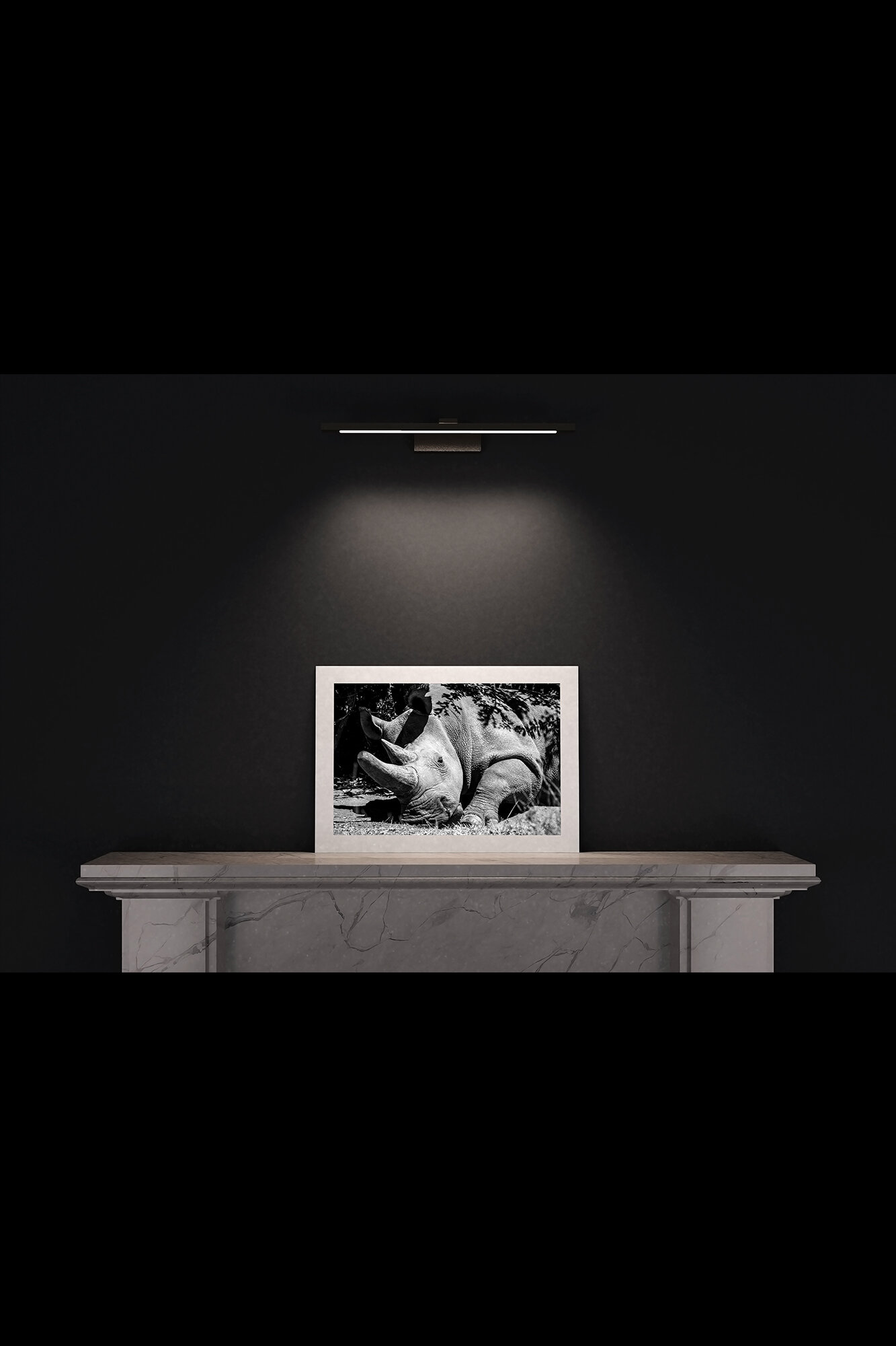 (7) FP_A2_L_MantlePiece-(Northern_White_Rhino_(Landscape)-09048-3).jpg
