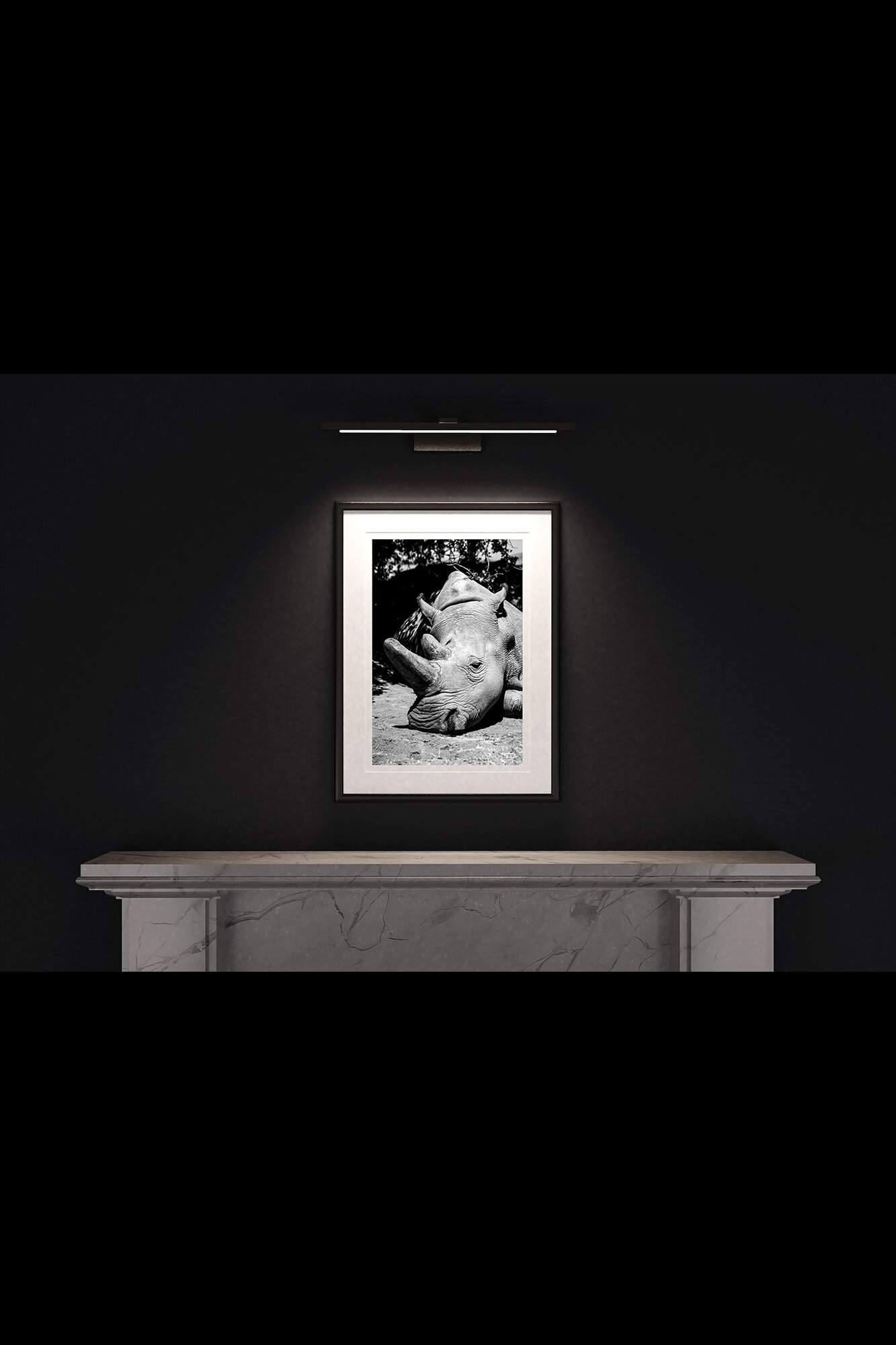 (1) FP_A2_PF_MantlePiece-(Northern_White_Rhino_(Portrait)-08968-3).jpg