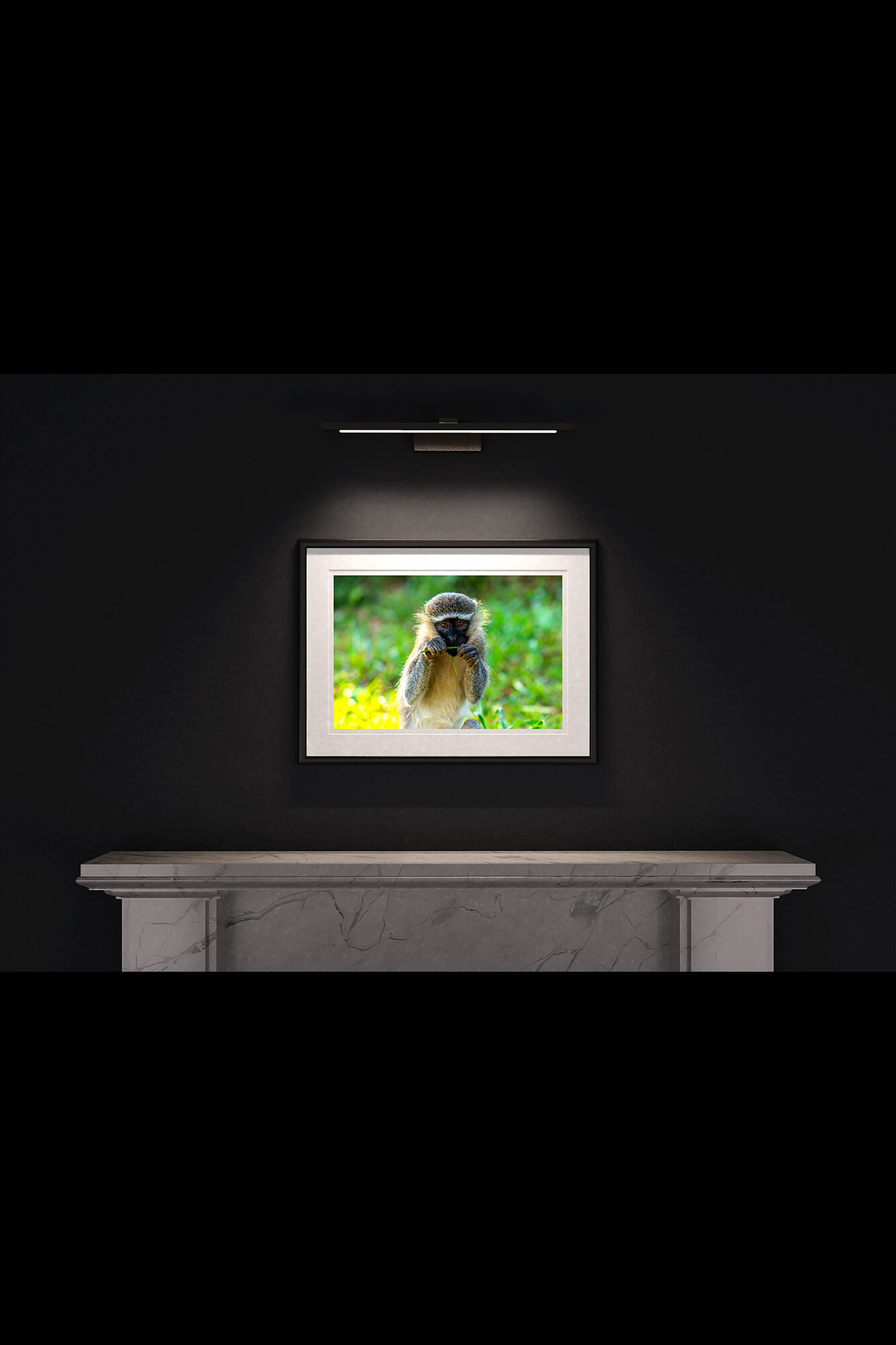(5) FP_A2_LF_MantlePiece-(Vervet_Monkey_(Landscape)-05893).jpg