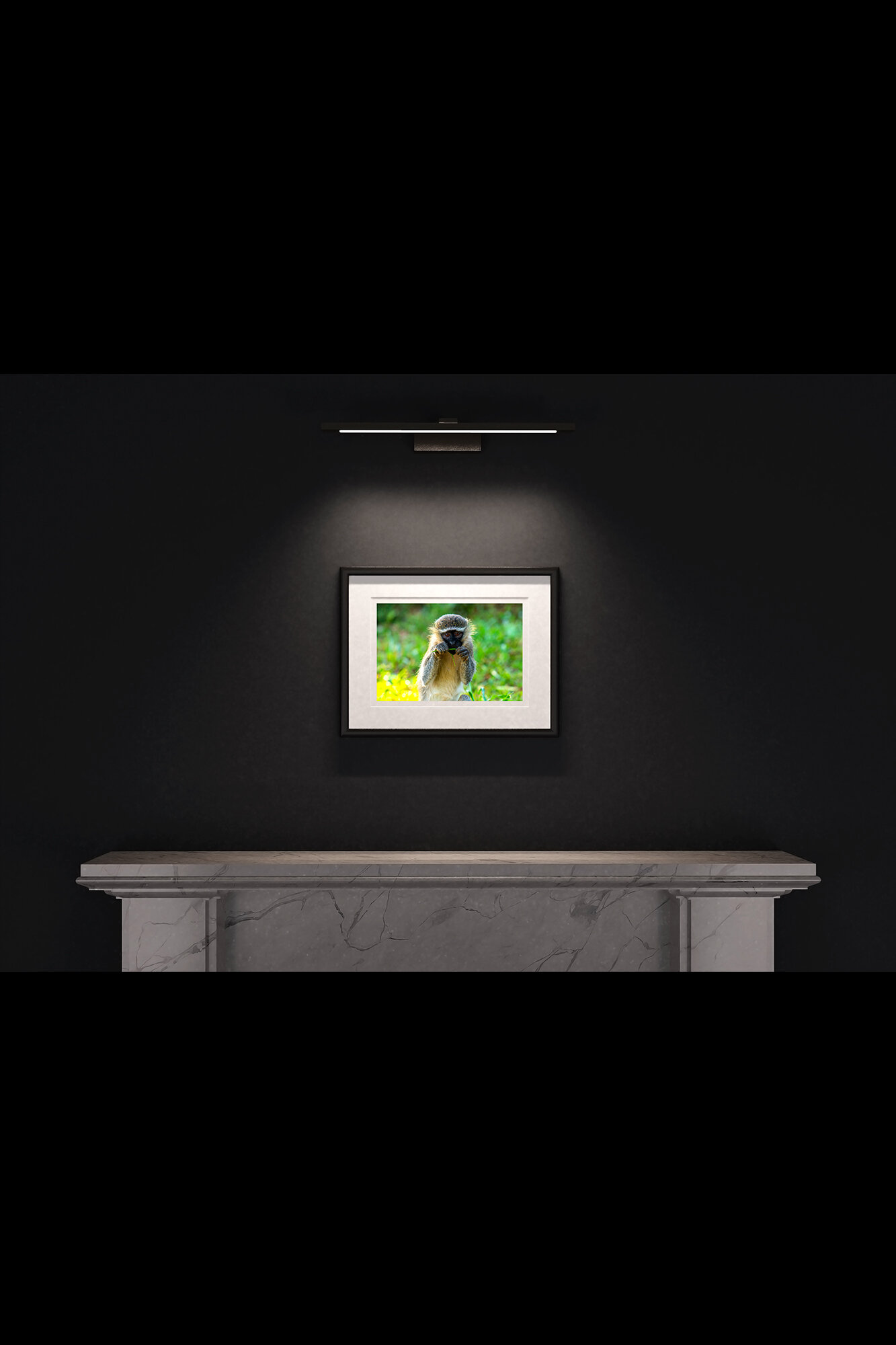 (6) FP_A3_LF_MantlePiece-(Vervet_Monkey_(Landscape)-05893).jpg