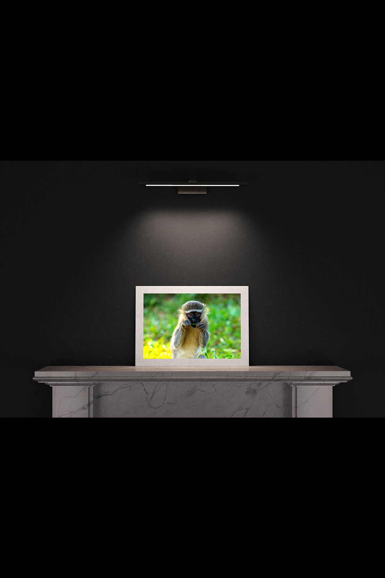 (7) FP_A2_L_MantlePiece-(Vervet_Monkey_(Landscape)-05893).jpg