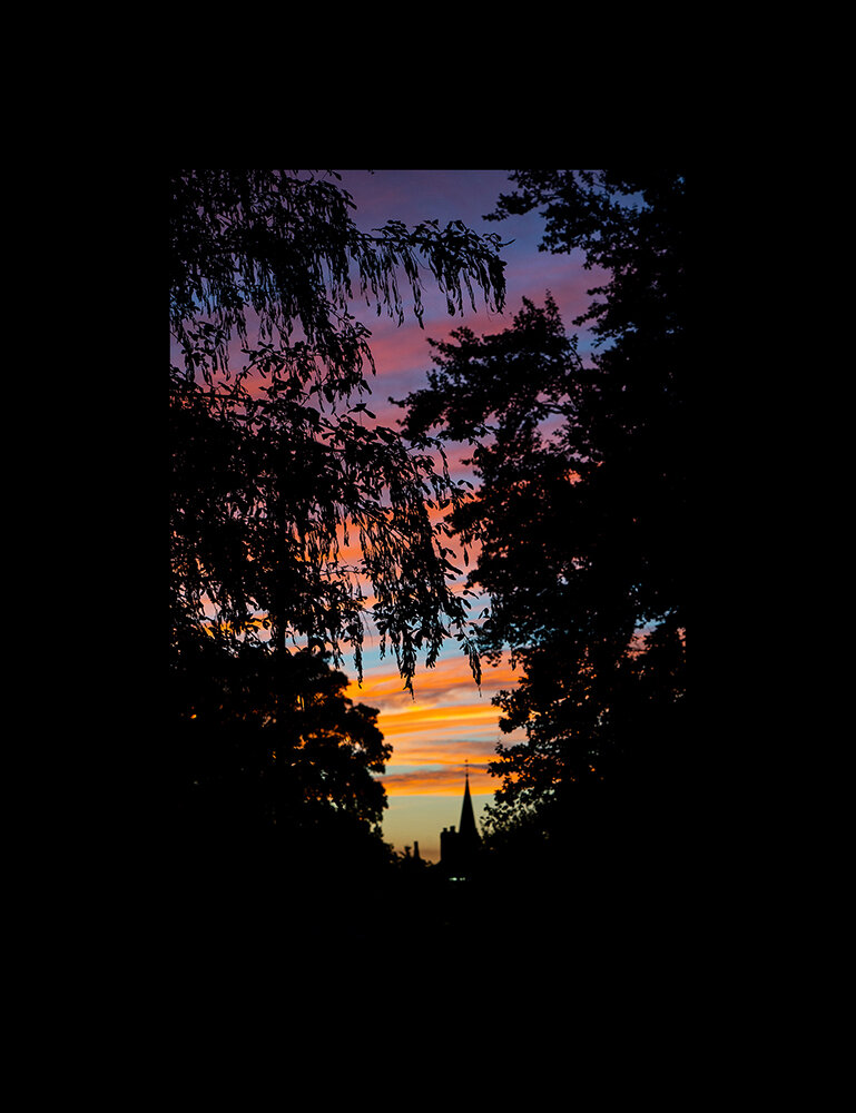 Hertford_Sunset_Through_Trees-(2).jpg