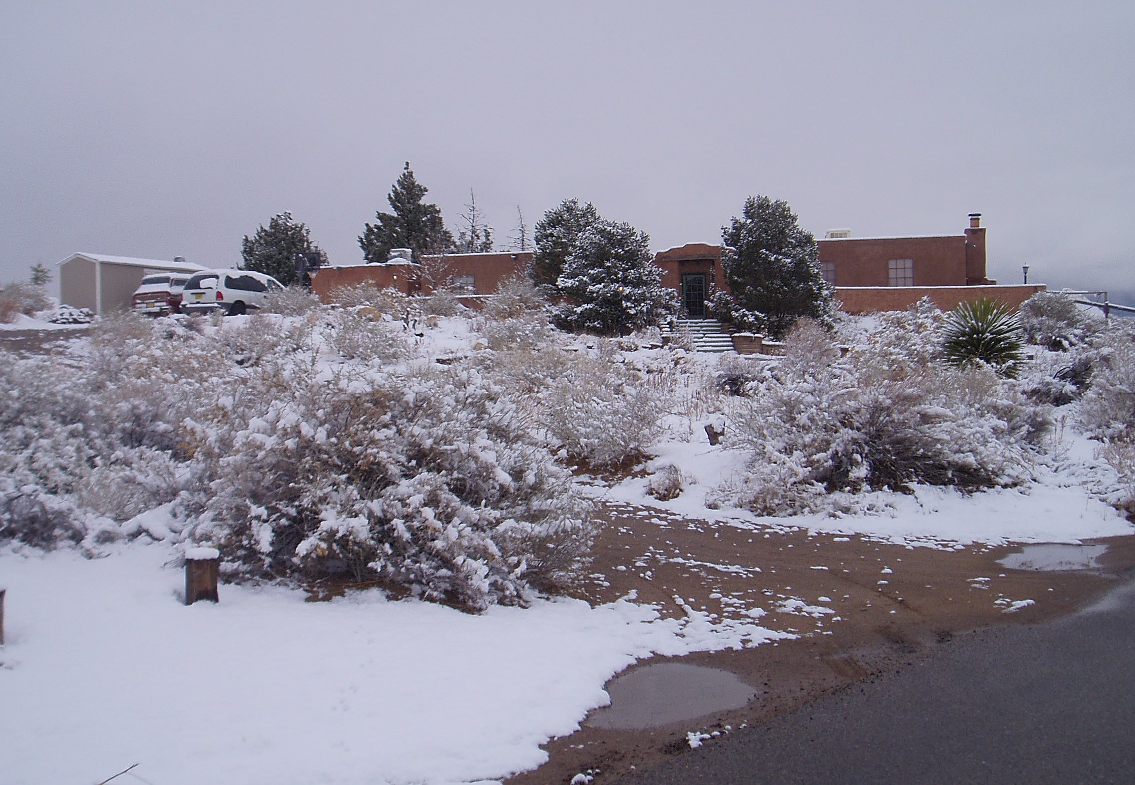F20-P3110271-1.jpg