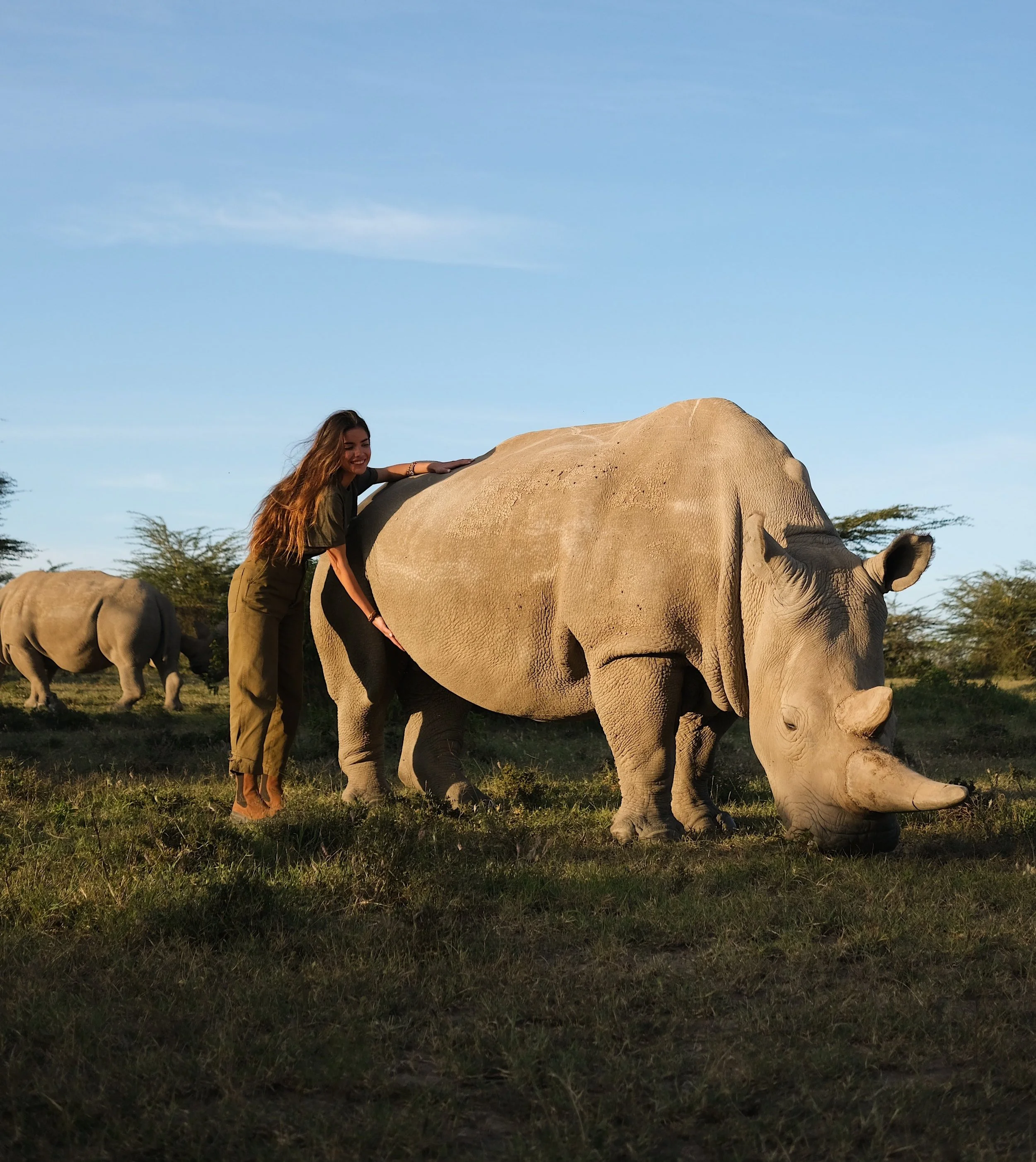OUTLIERS — Travelers Carlota Bruna