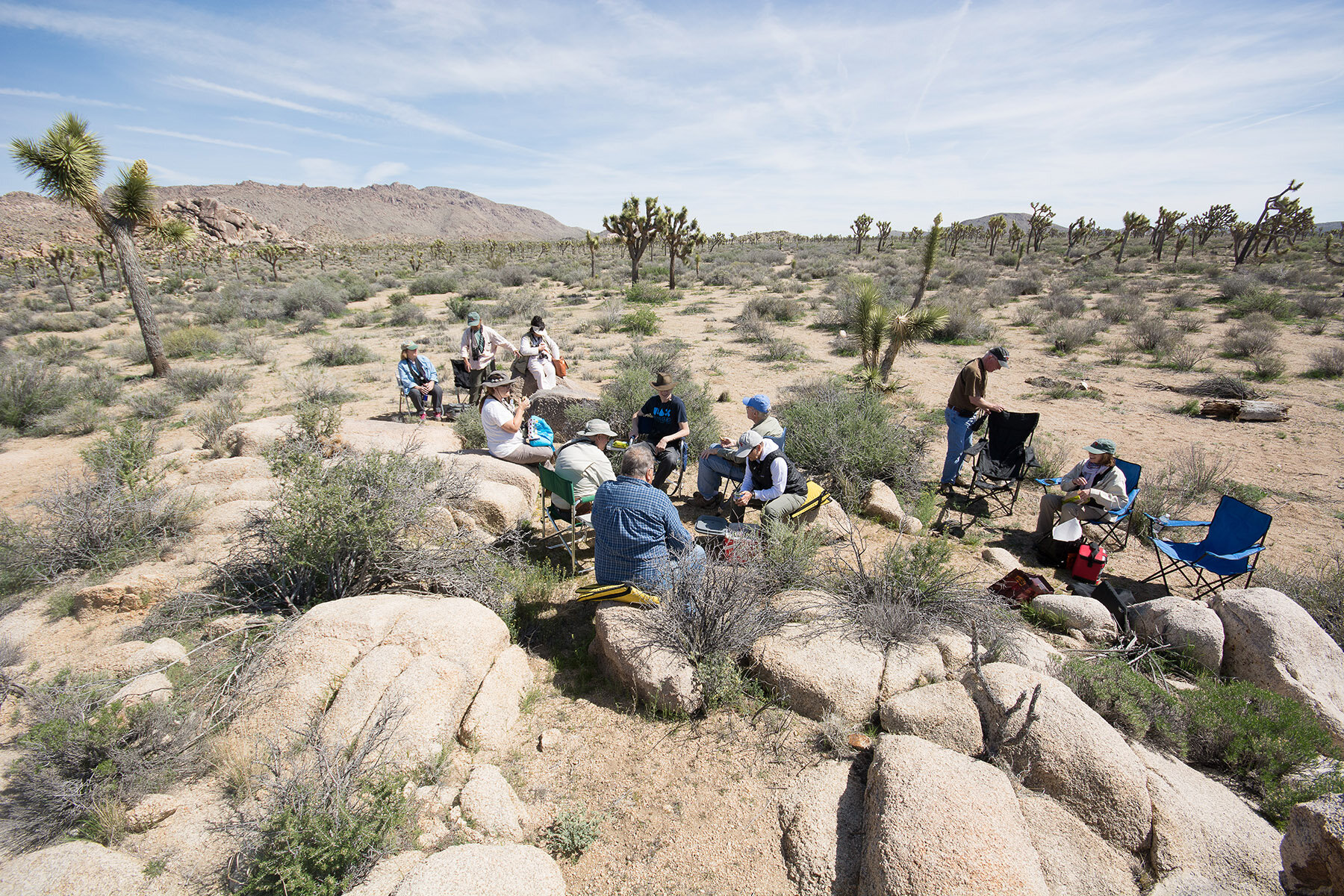 Joshua Tree picnic, March 2017