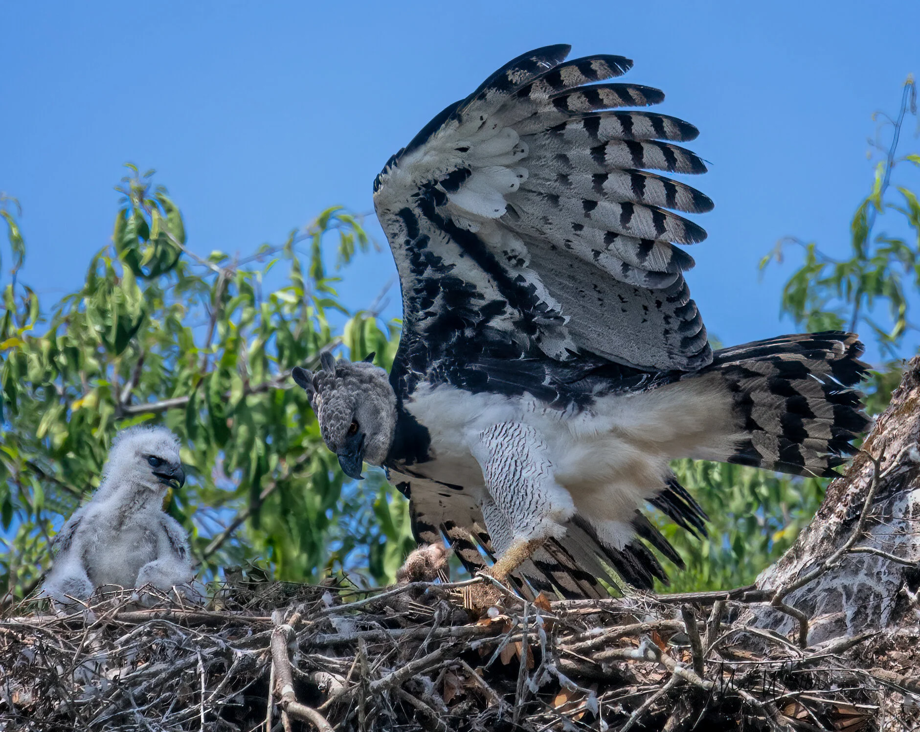 February Program: Exploring Panama with Mac Walter