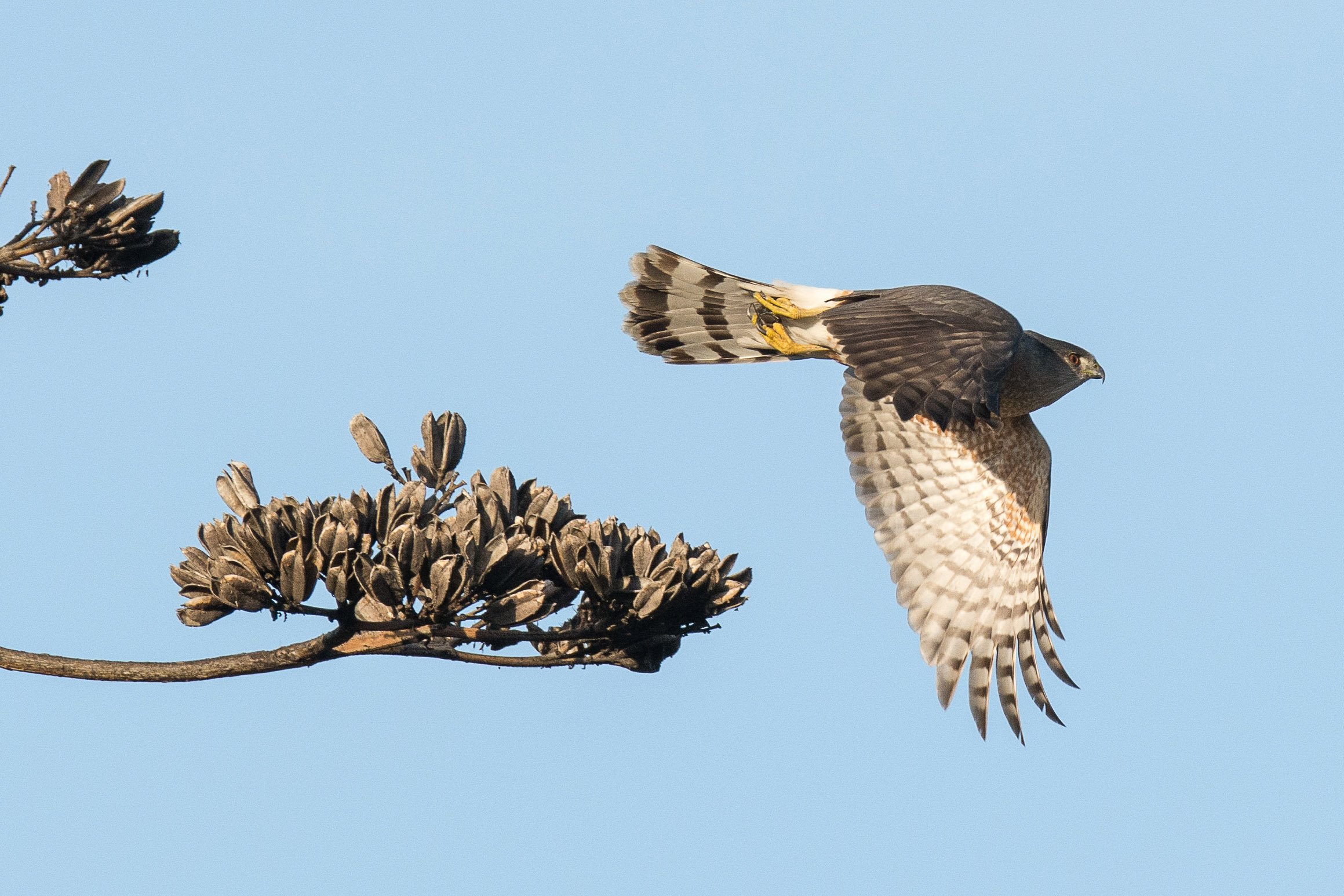 Santa Fe Dam Field Trip