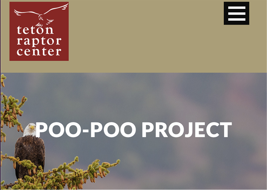 September Program: Poo-Poo Project, Protecting Cavity Nesters