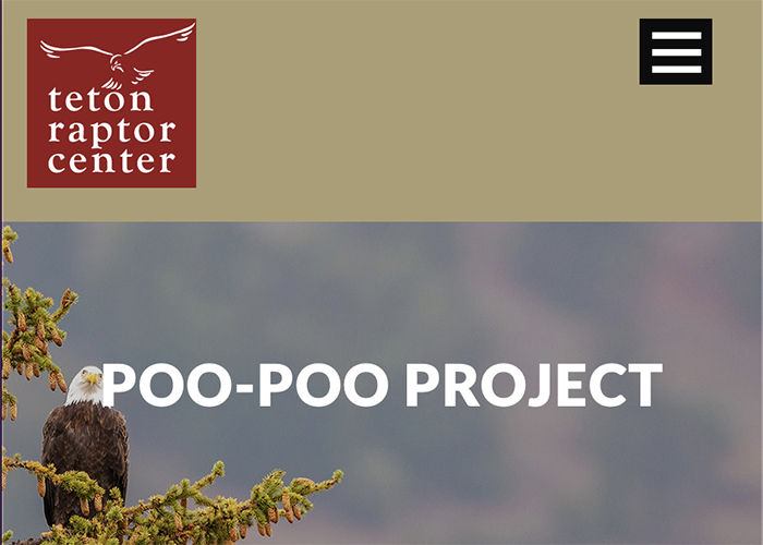 Follow up about the Poo-Poo Project